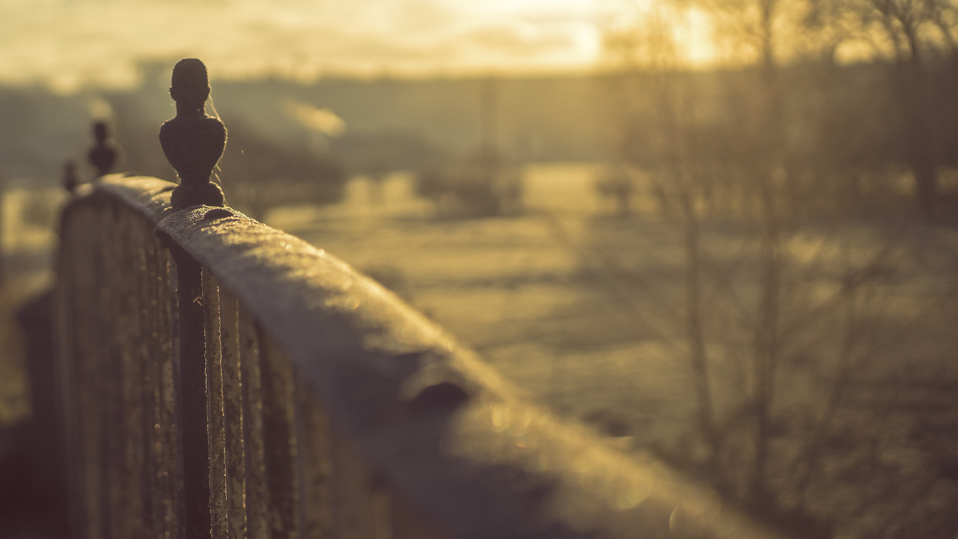 舒缓压力,清晨,日出,桥头