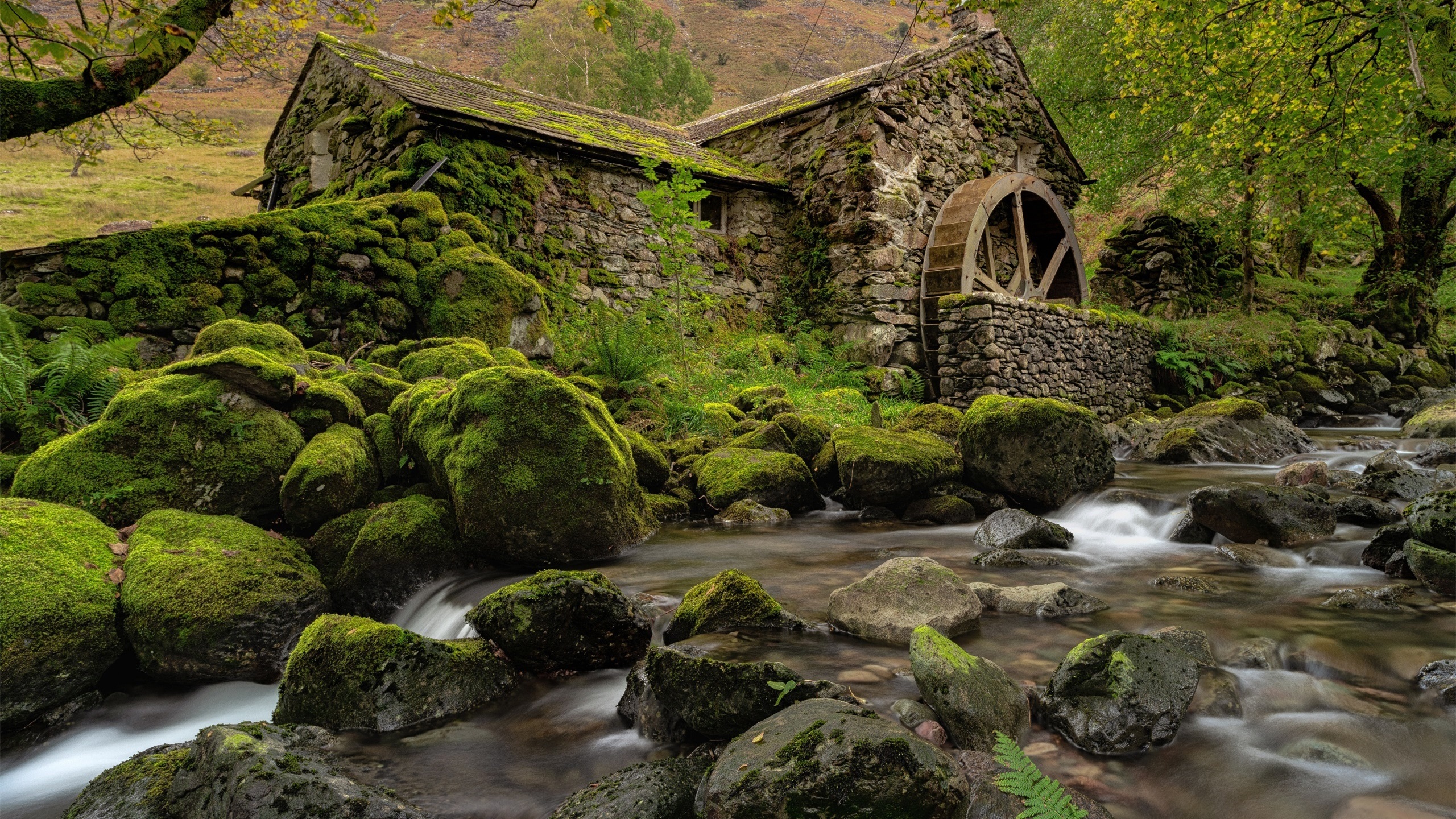 炎炎夏日,河流,水车,