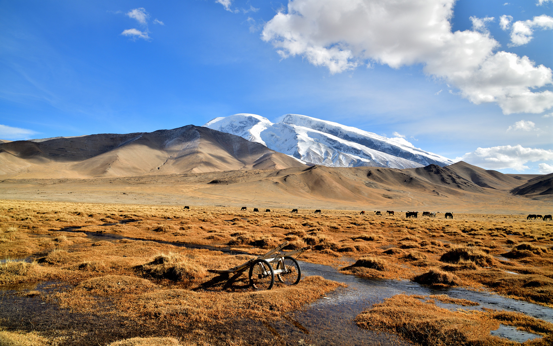 自然风光,雪山,新疆,慕士塔格峰