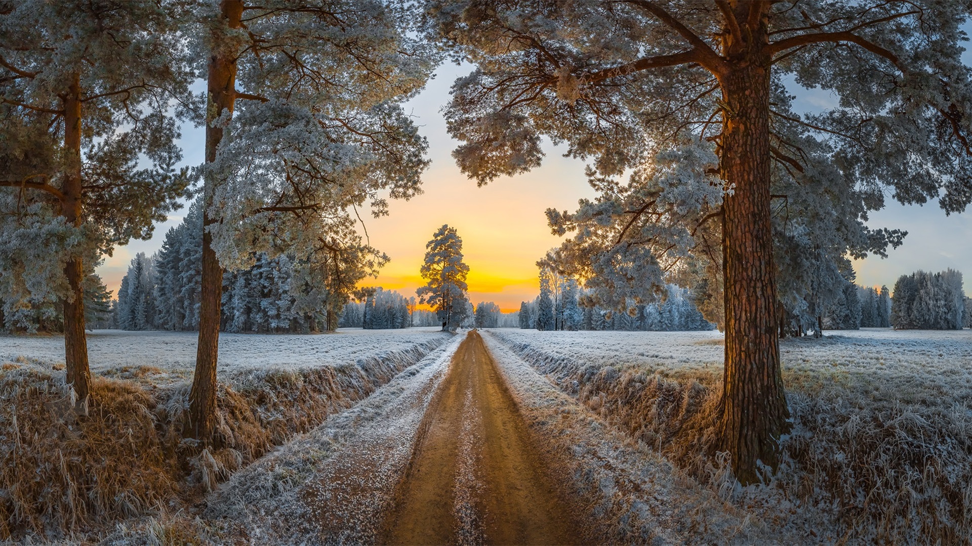 冰天雪地,日出,雪后