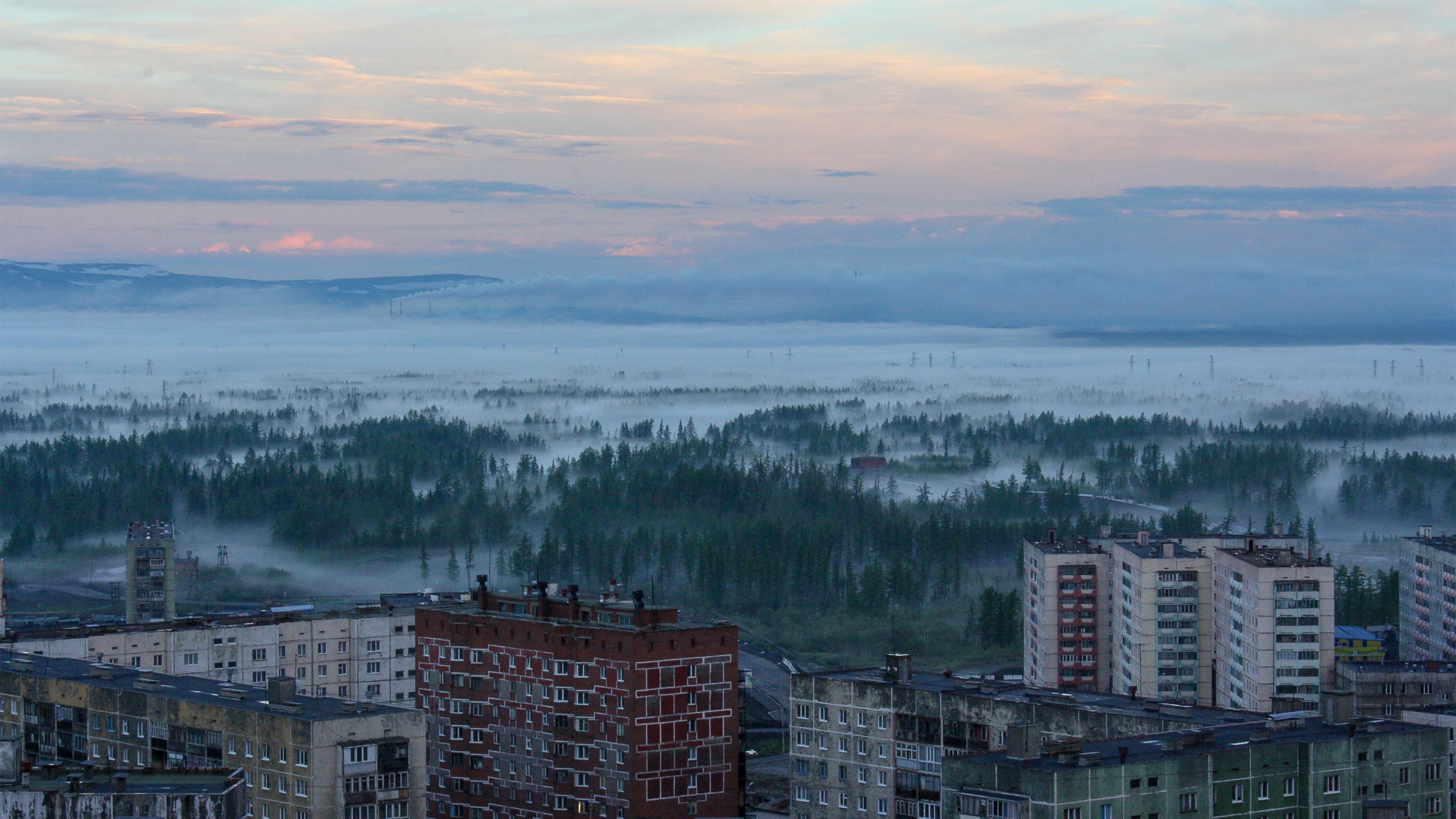 森林,小镇,冬,日出