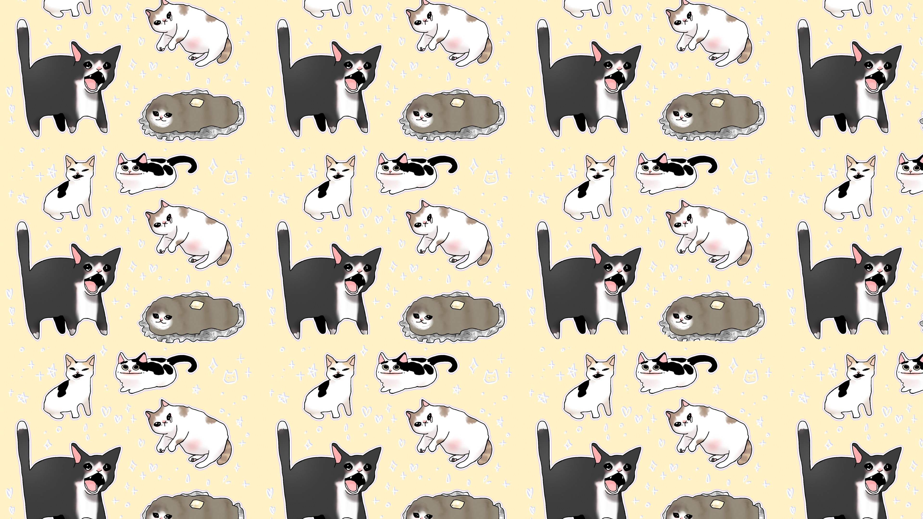 猫咪,密集,可爱,宠物