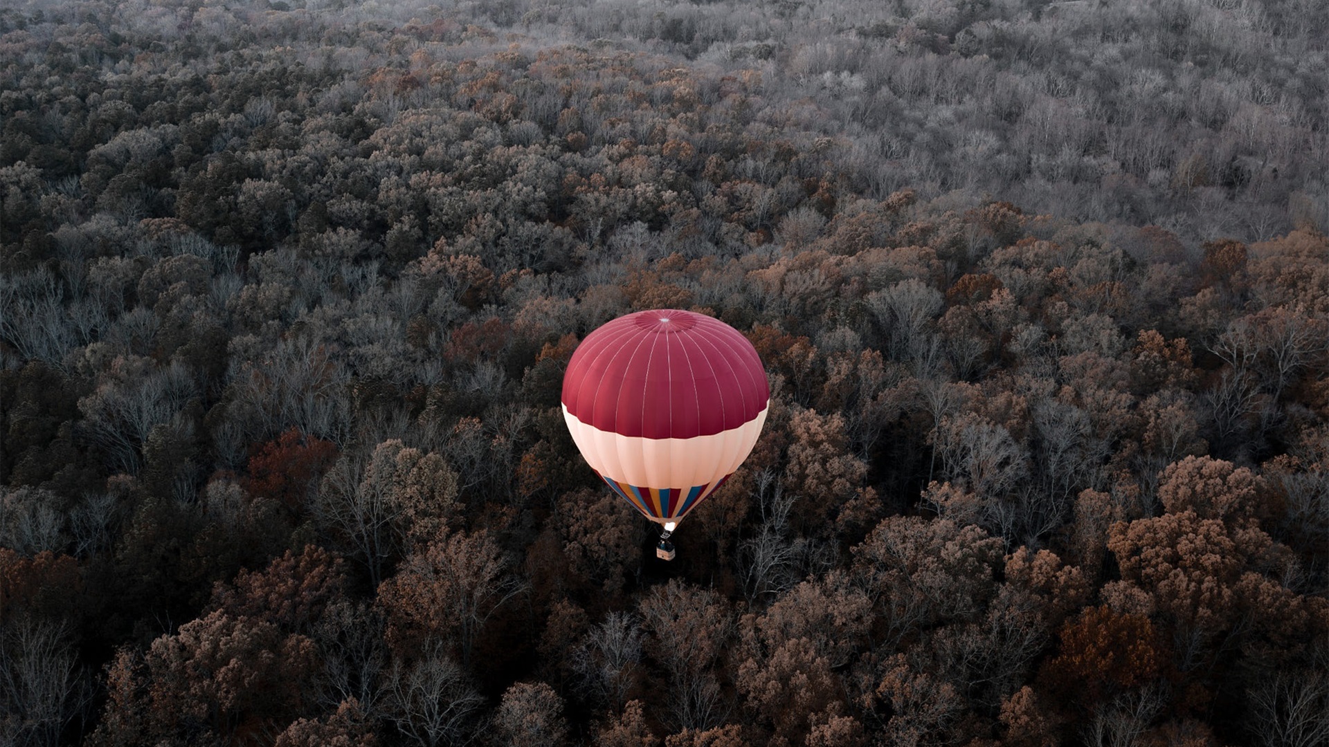 自然景观,热气球,森林