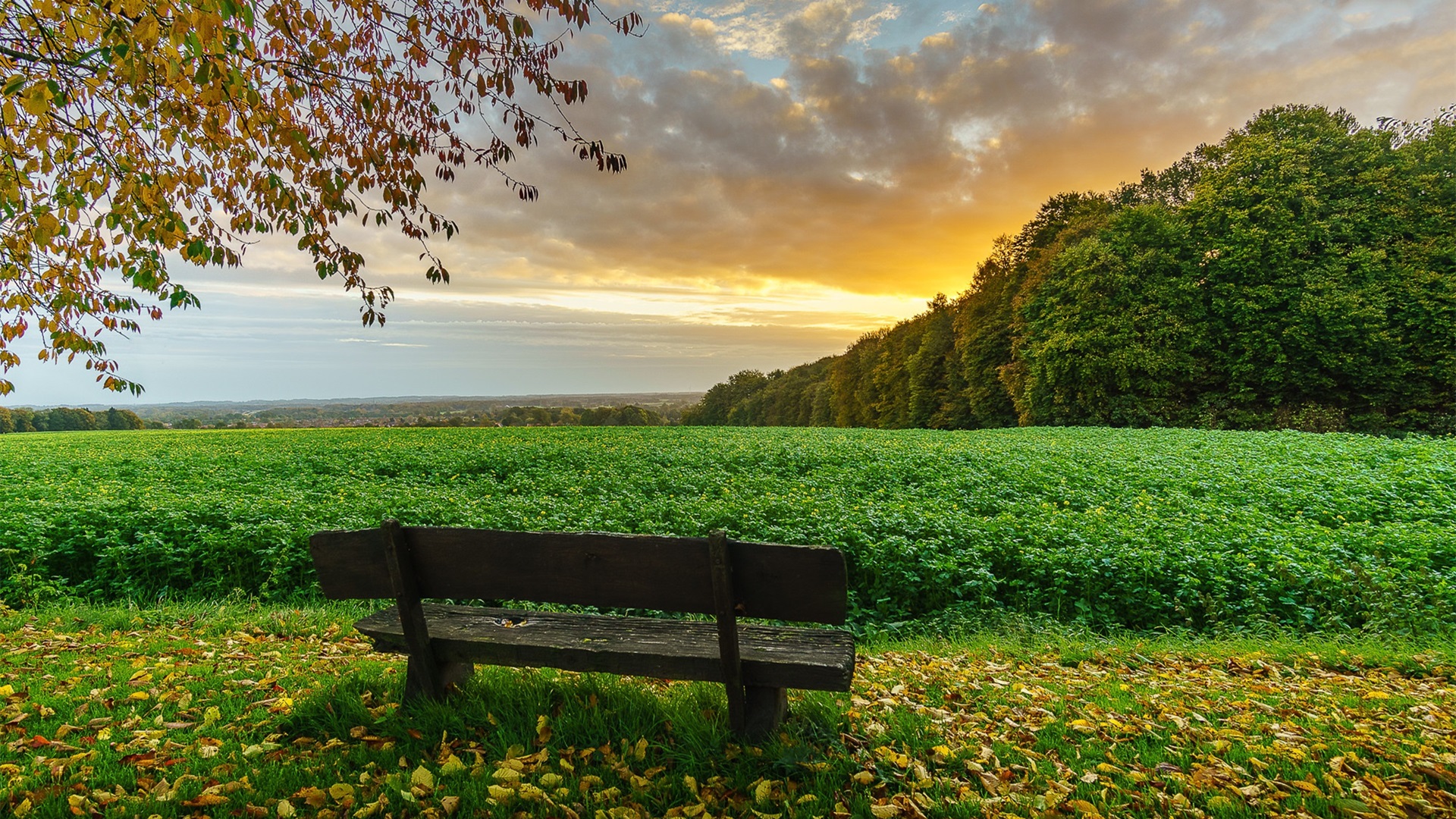 秋意正浓,板凳,落霞
