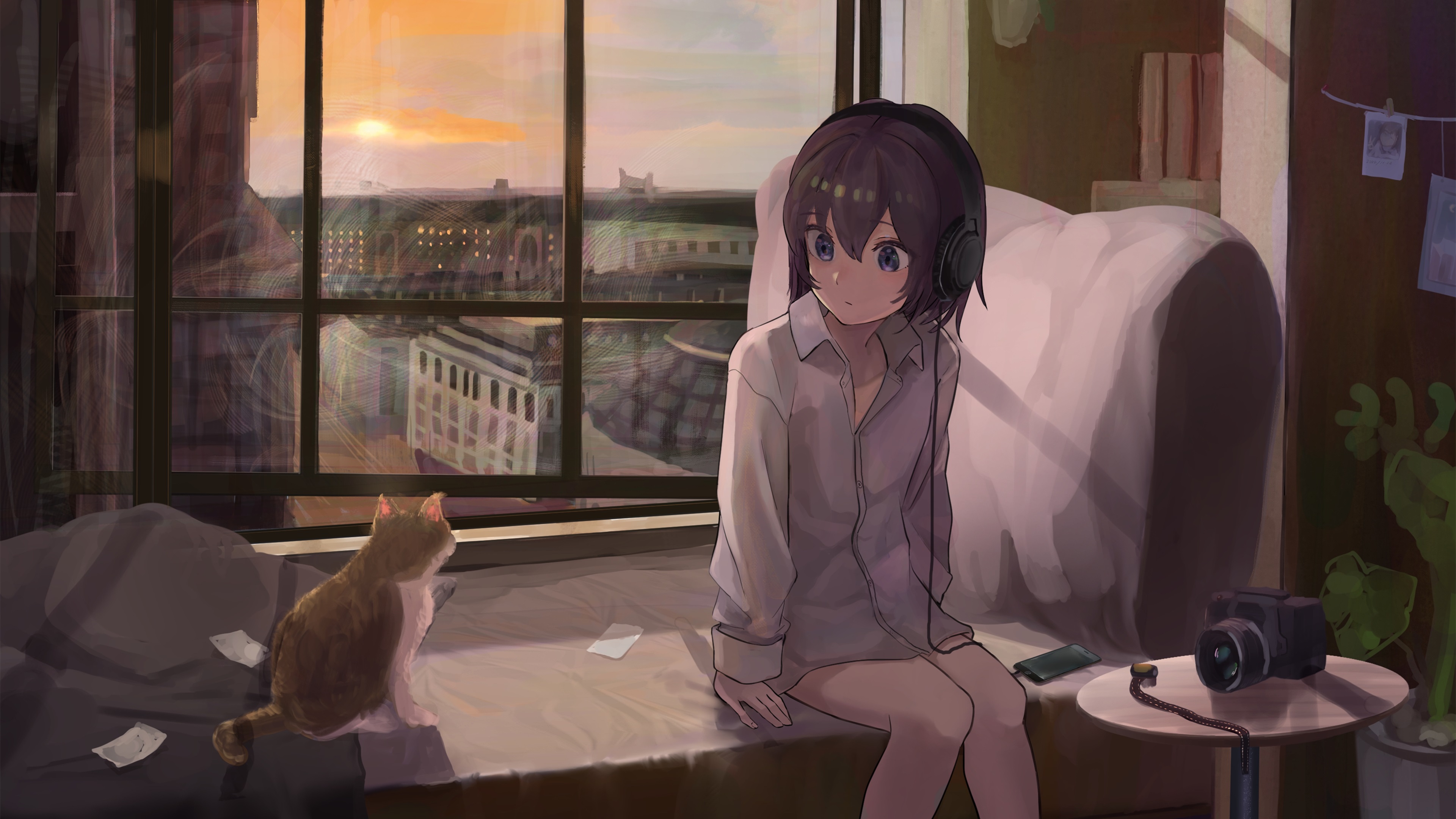 窗子,猫,日落,窗台