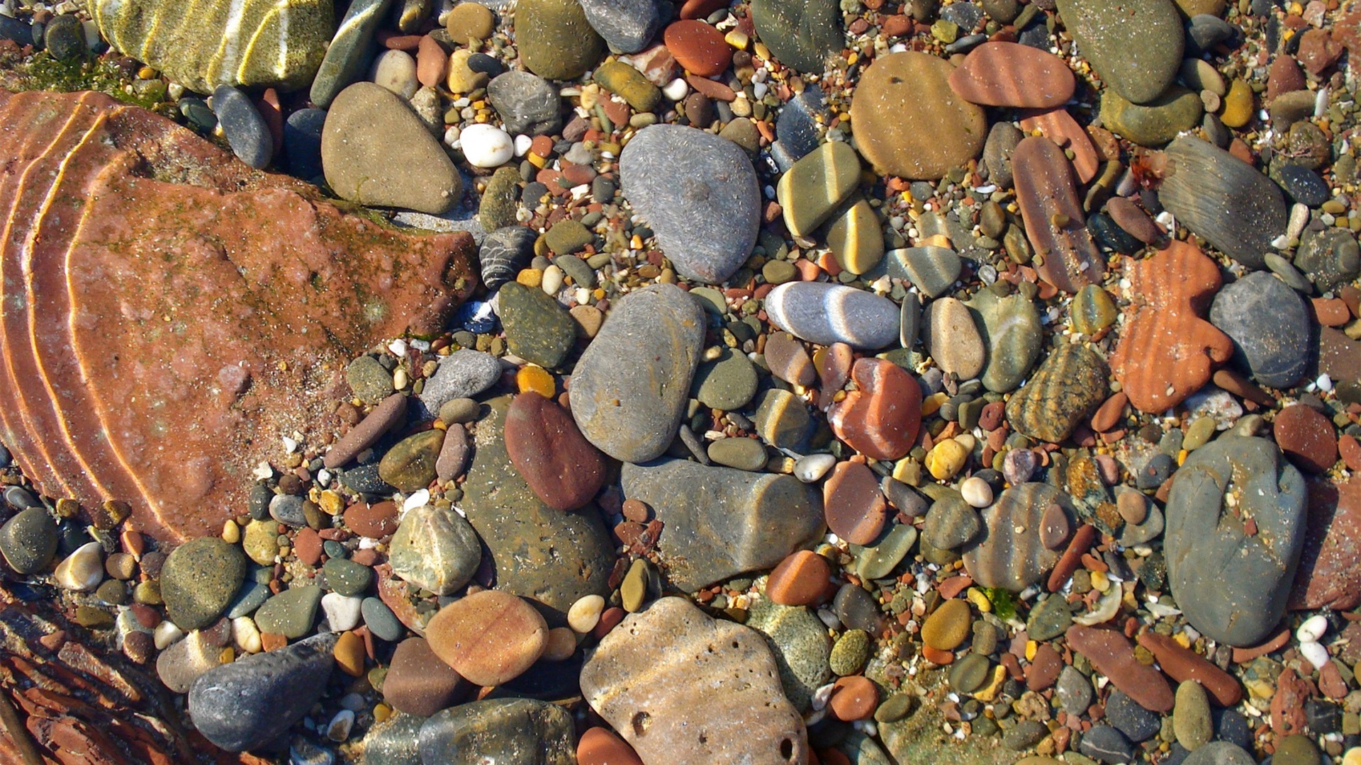 静物写真,鹅卵石,清澈