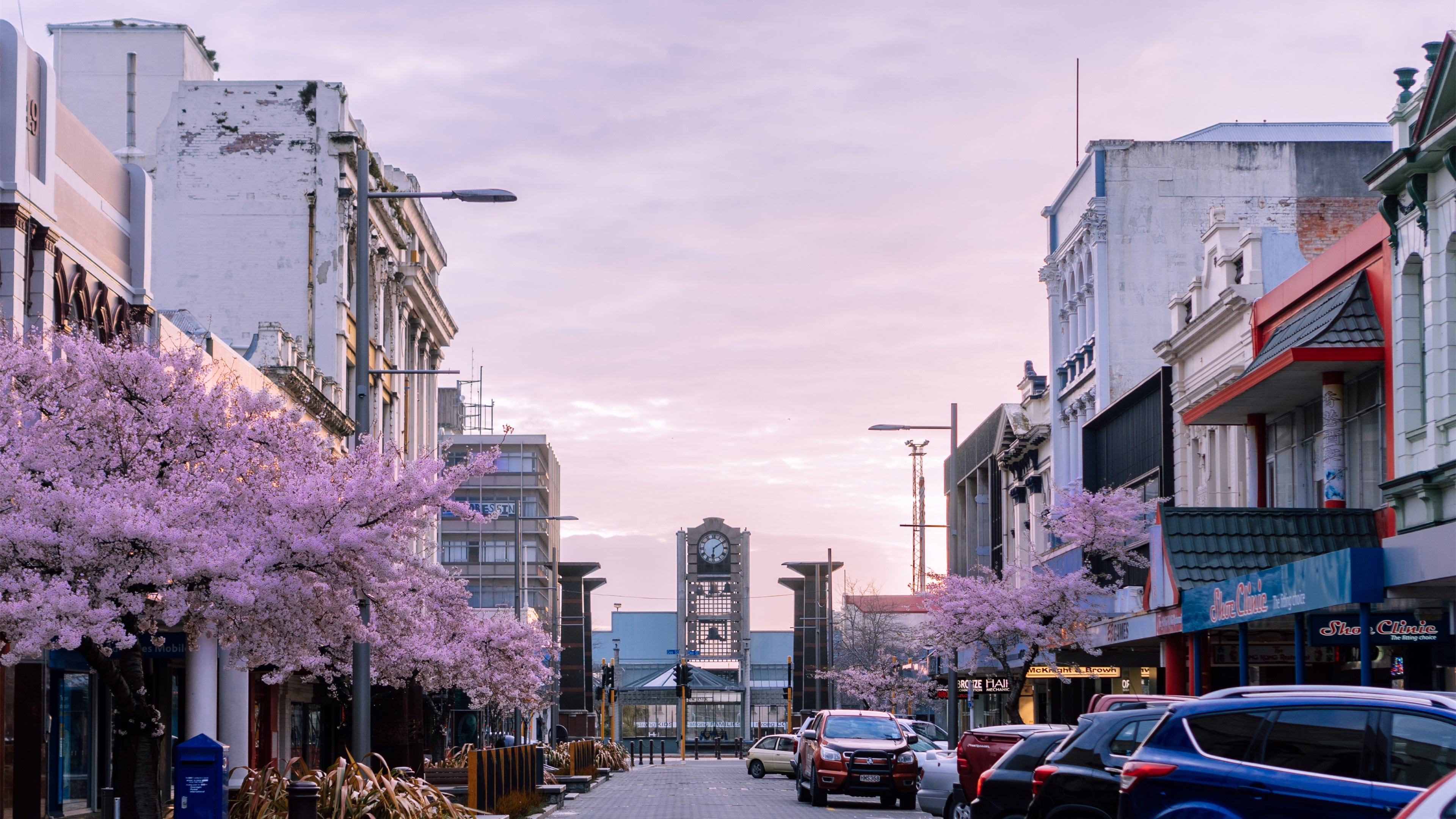 新西兰,街道,春天,时钟