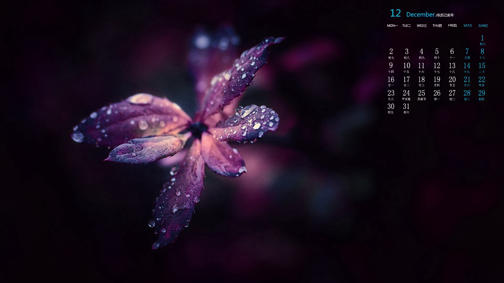 月历,2019年12月,日历