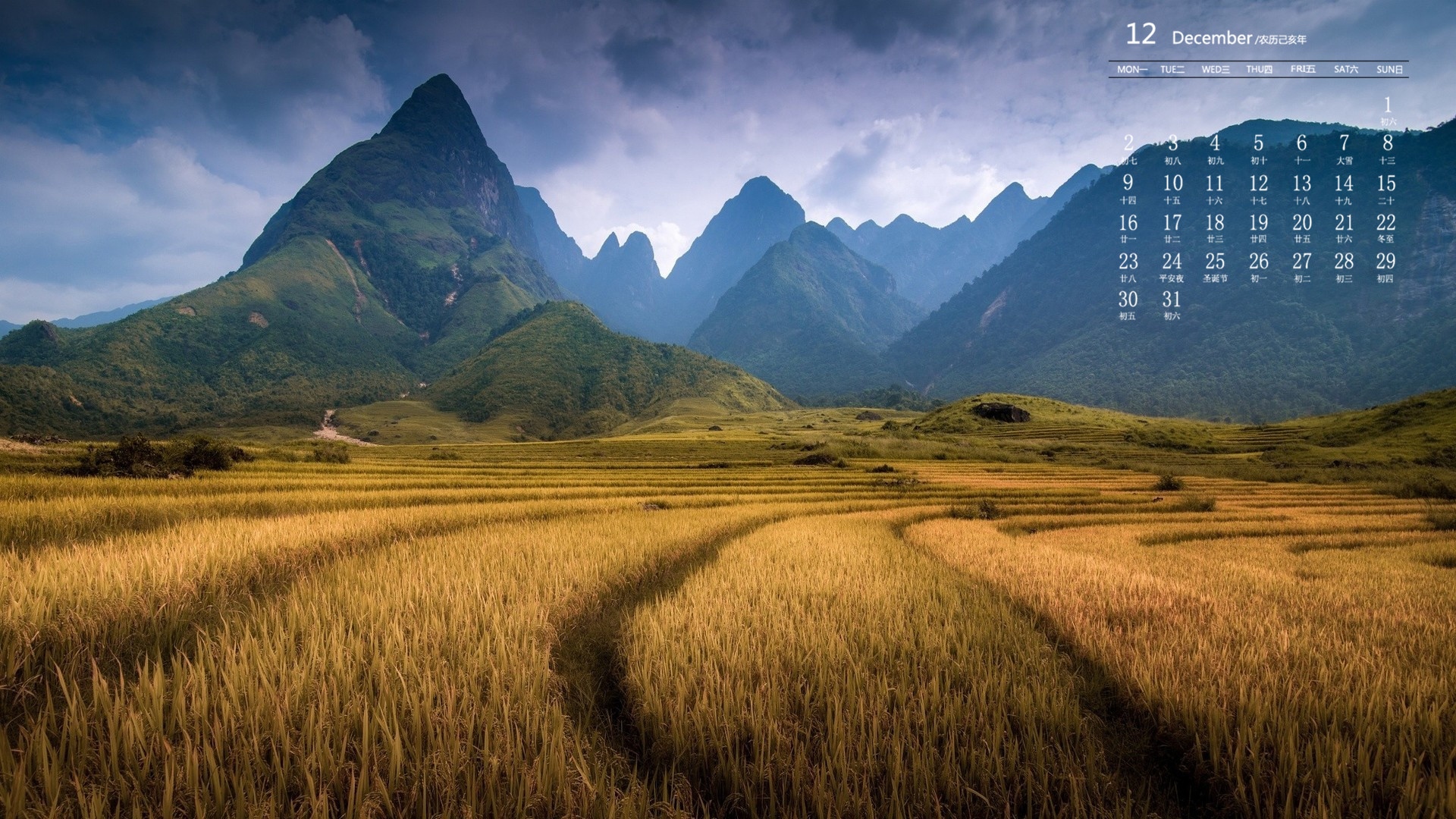 月历,2019年12月,日历