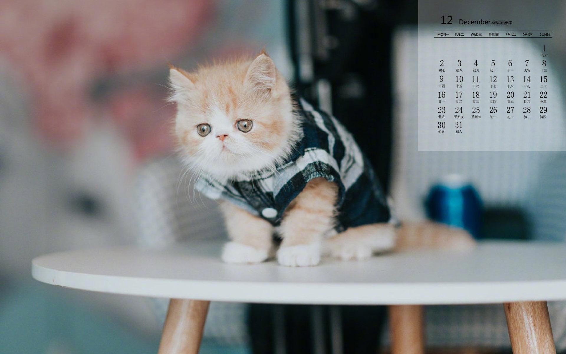 月历,2019年12月,日历