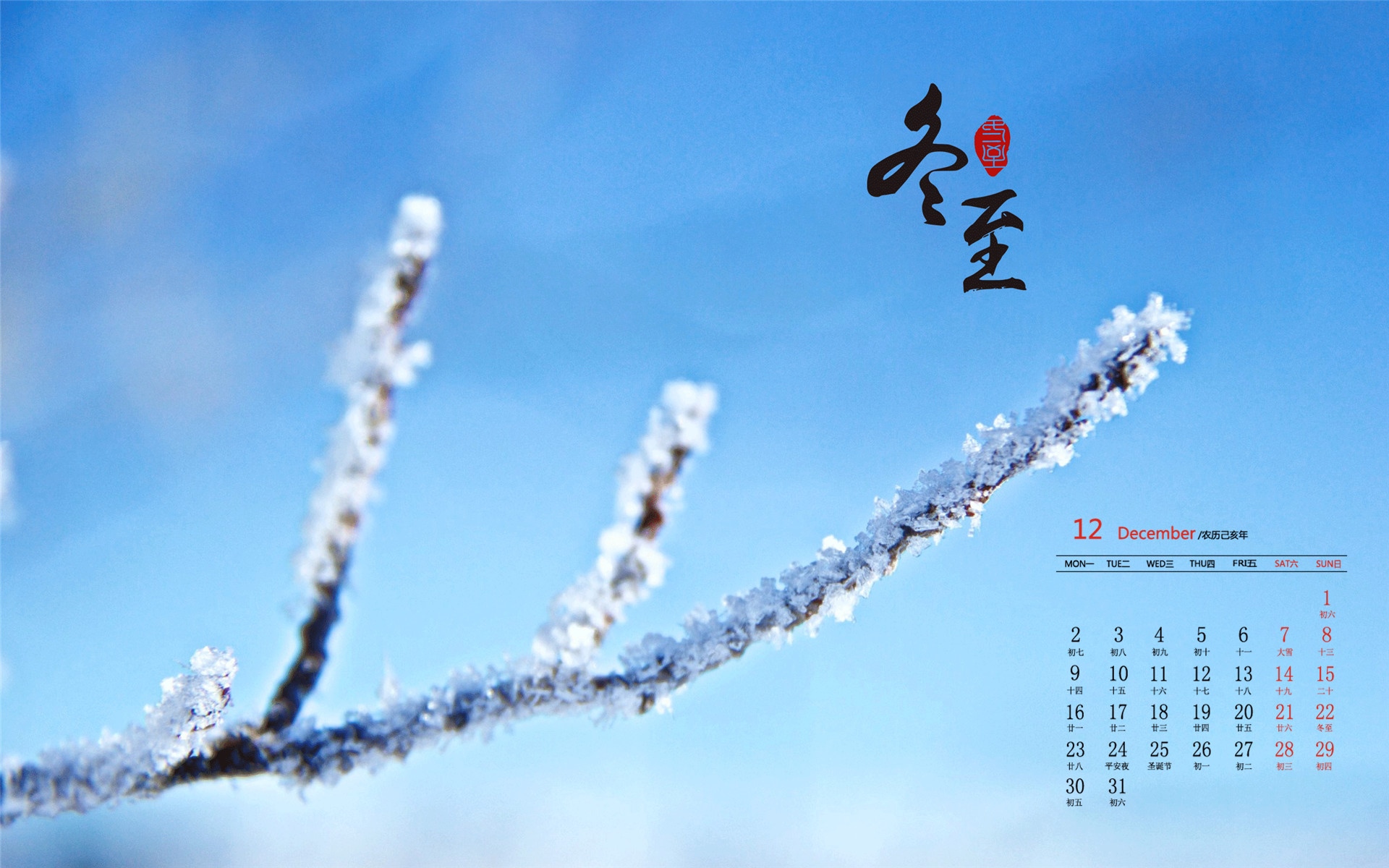 月历,2019年12月,日历