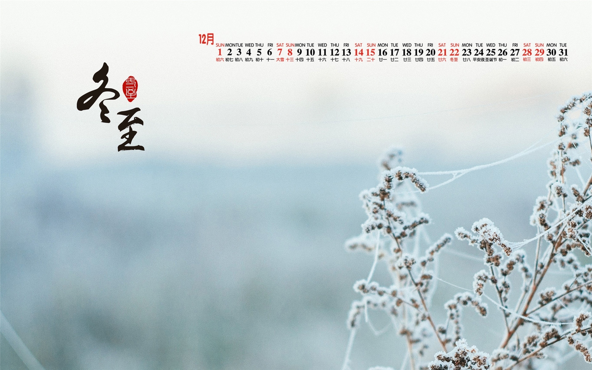 月历,2019年12月,日历