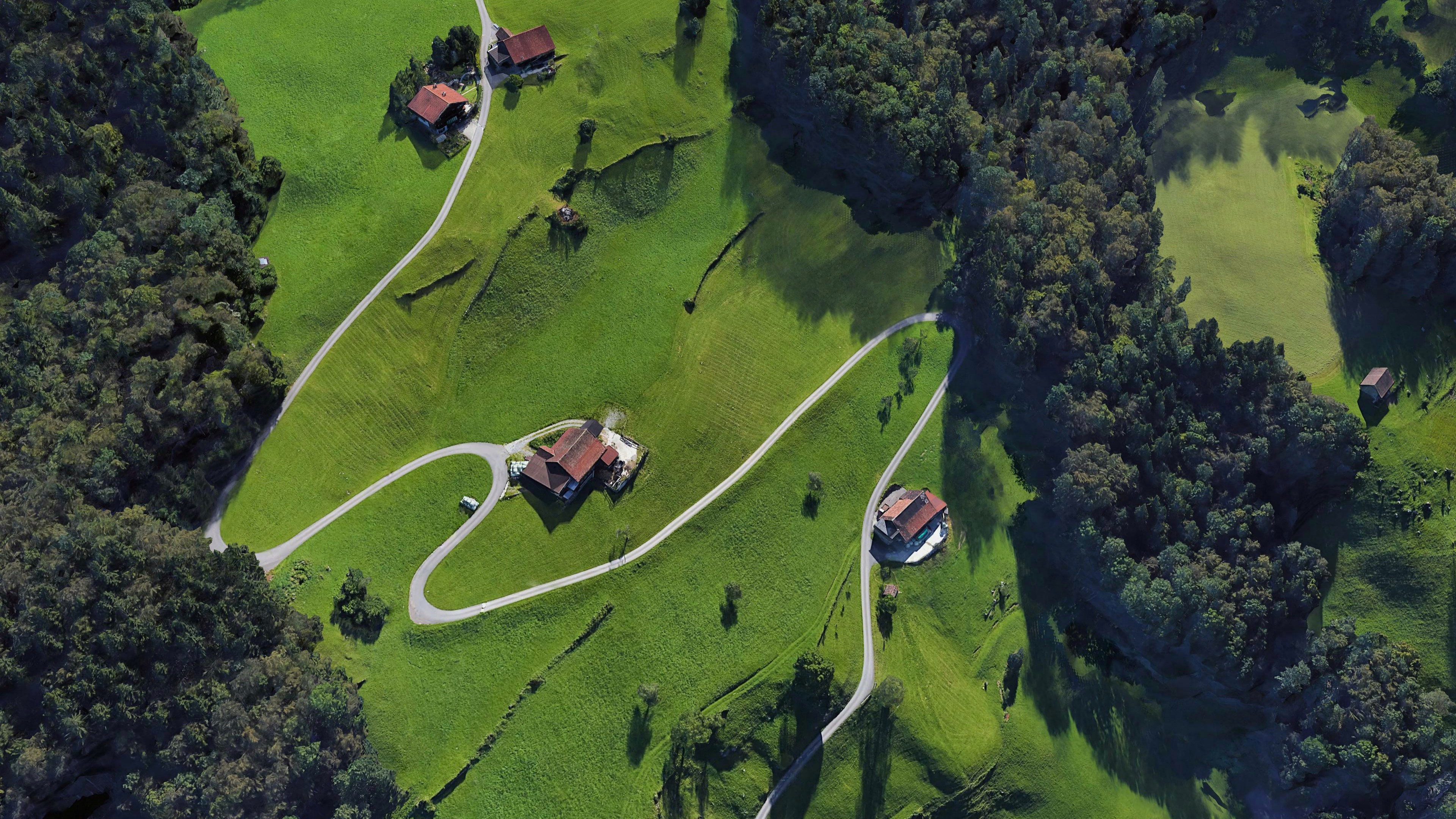 草坪,原野,绿色,航拍