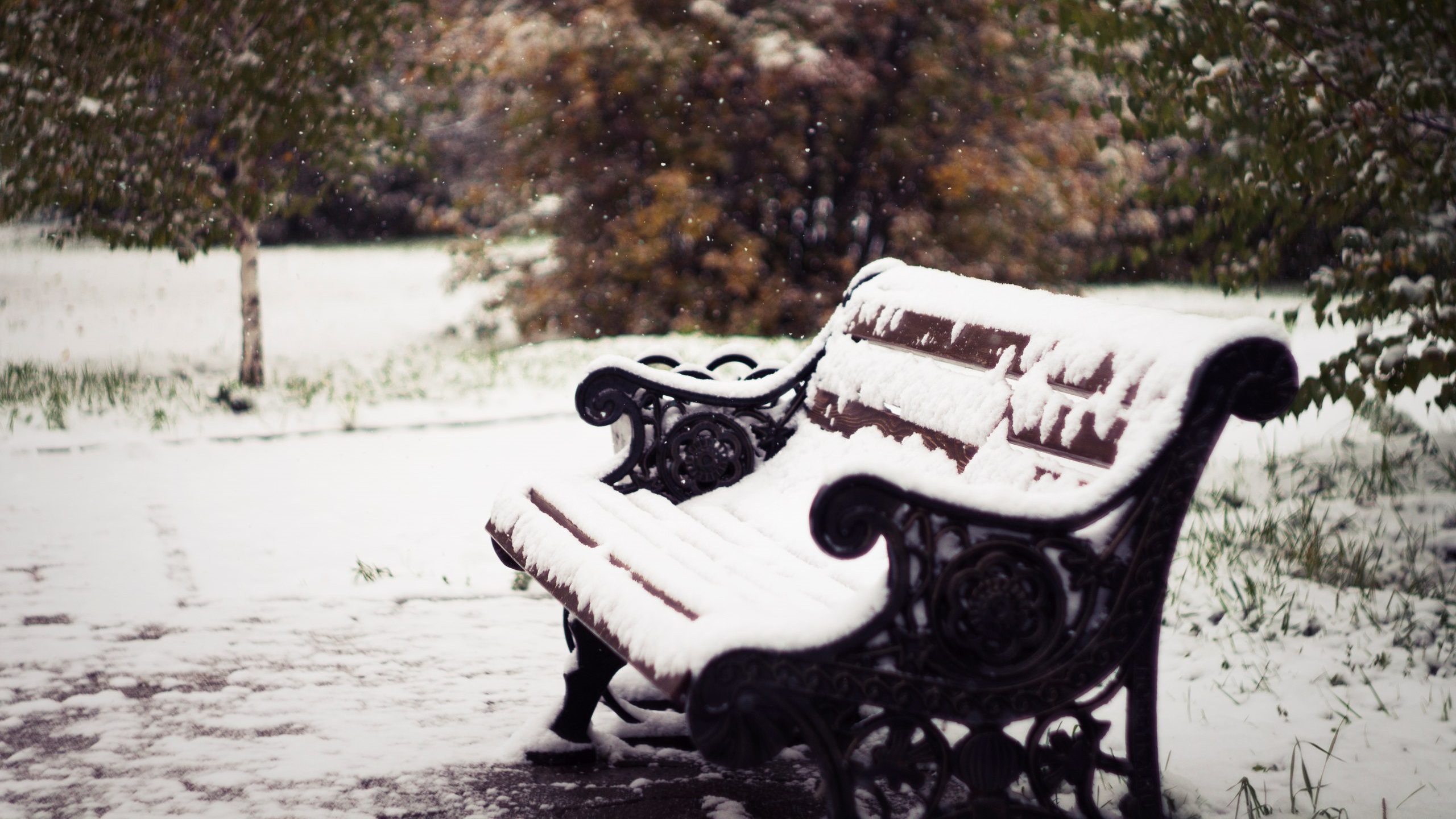 冰天雪地,公园,座椅