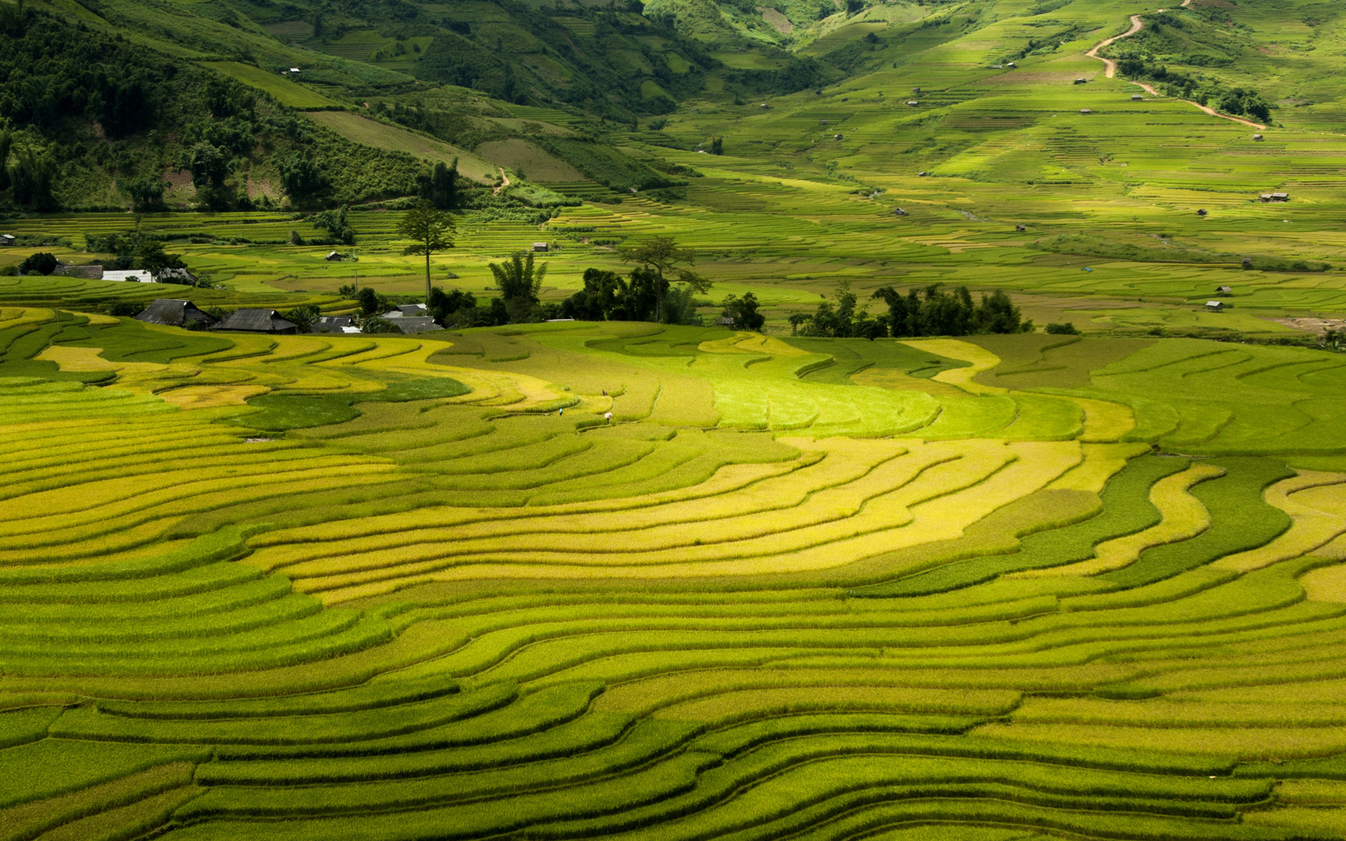 秋意正浓,滔天,收获,成熟