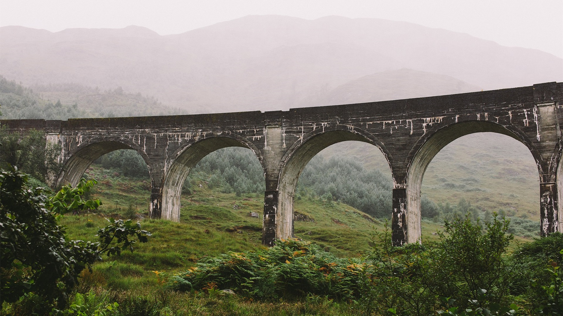 春意盎然,苏格兰,高架桥,火车