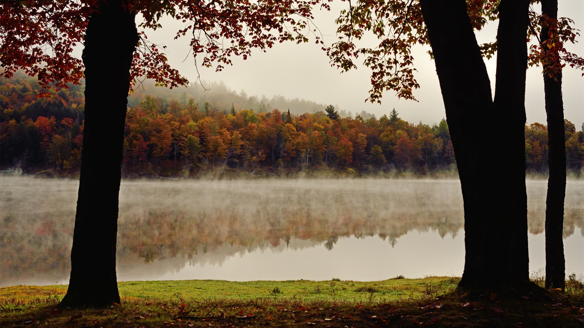 秋意正浓,落叶,湖水,清晨
