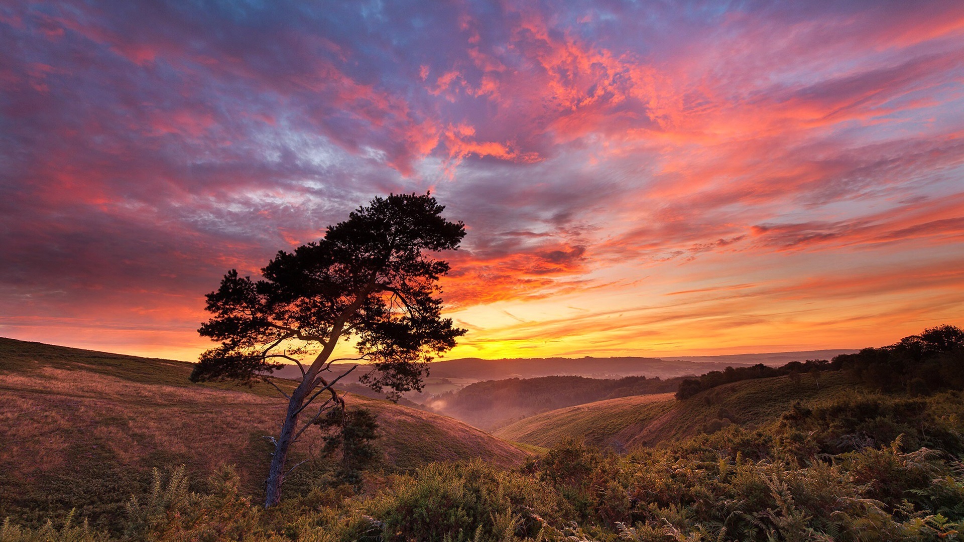 落日余晖,夕阳,晚霞,红云