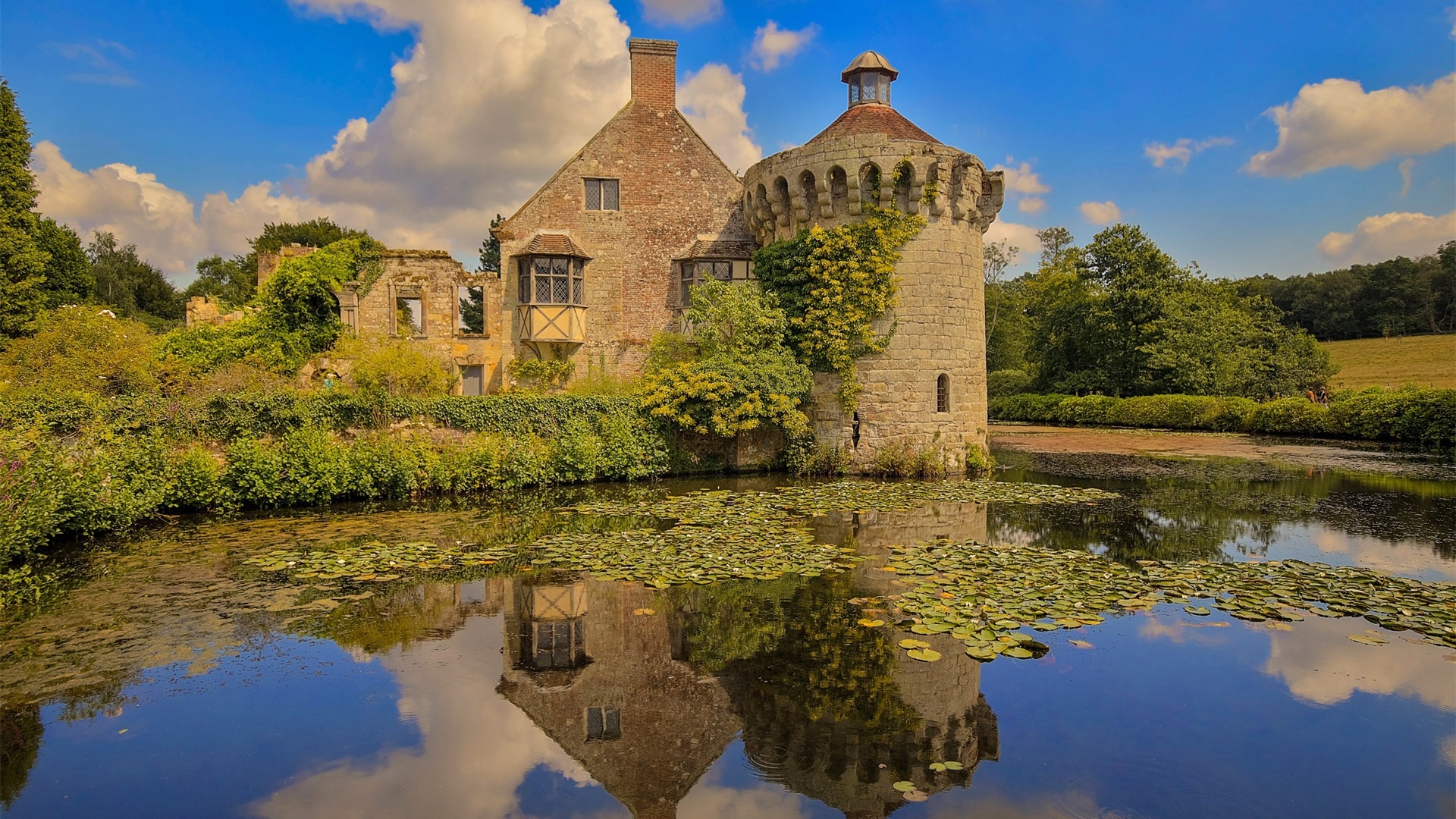 蓝天白云,荷塘,城堡,莲