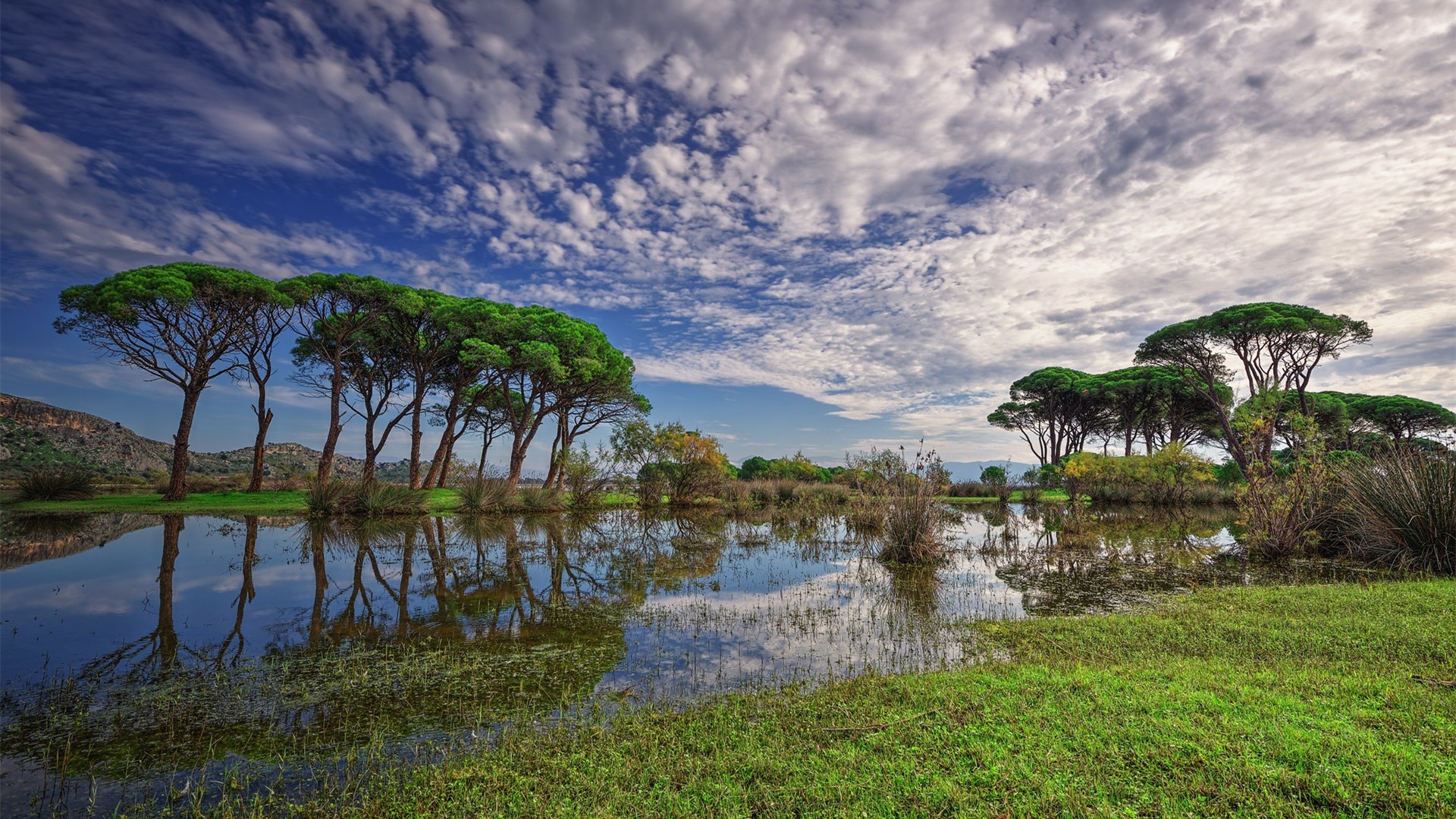 蓝天白云,沼泽,草原