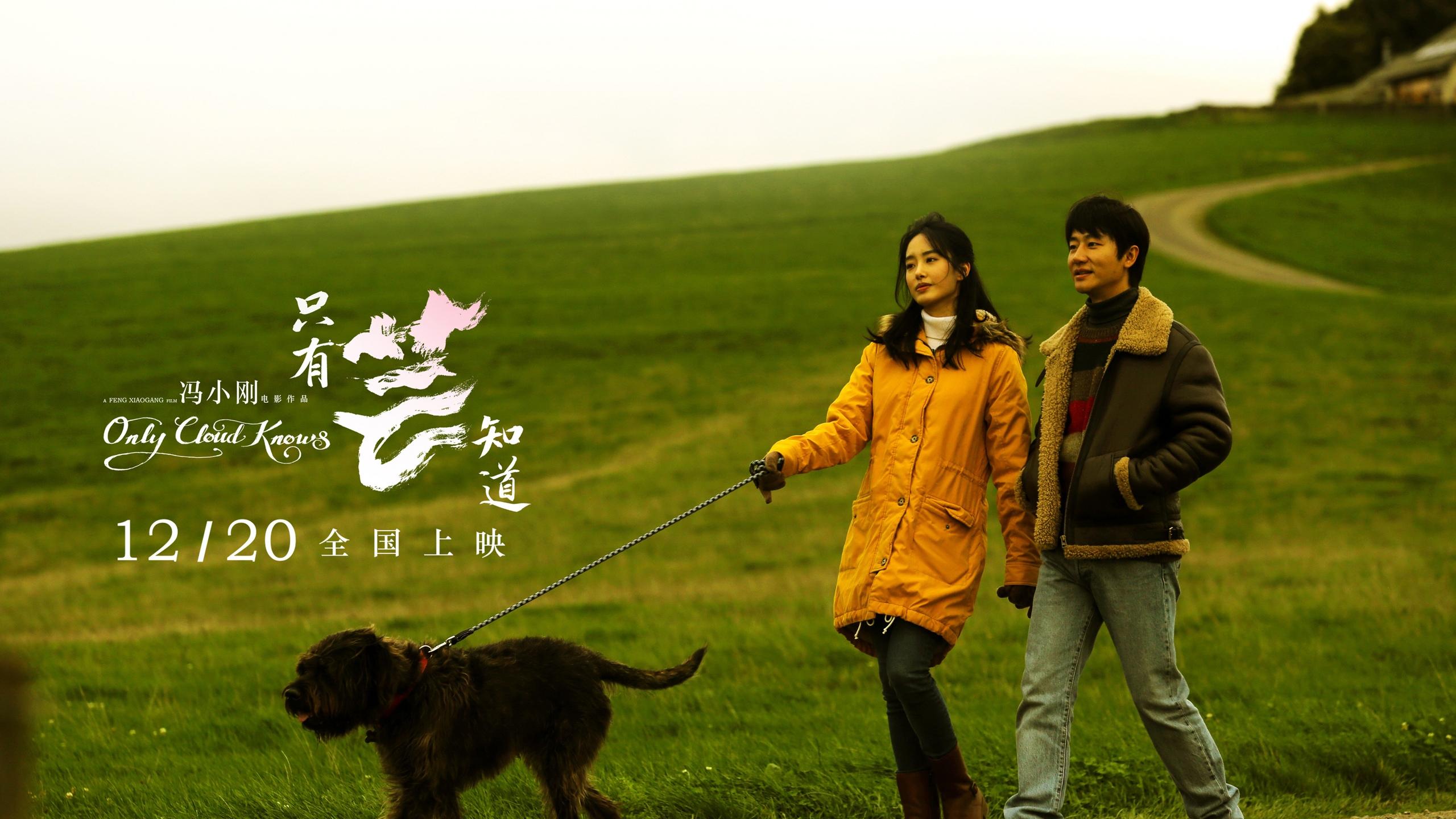 只有芸知道,黄轩,杨采钰