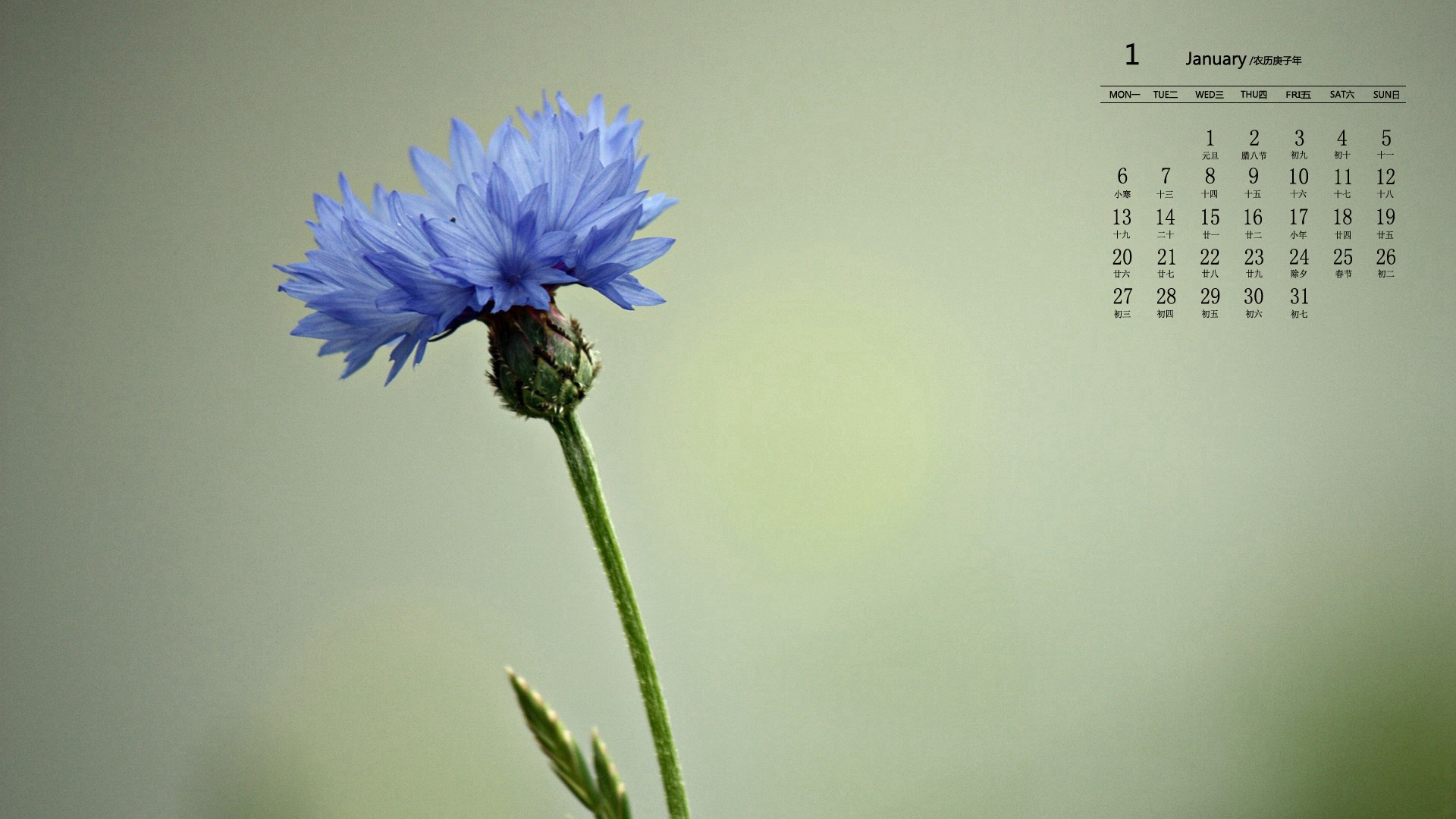 月历,日历,2020年1月