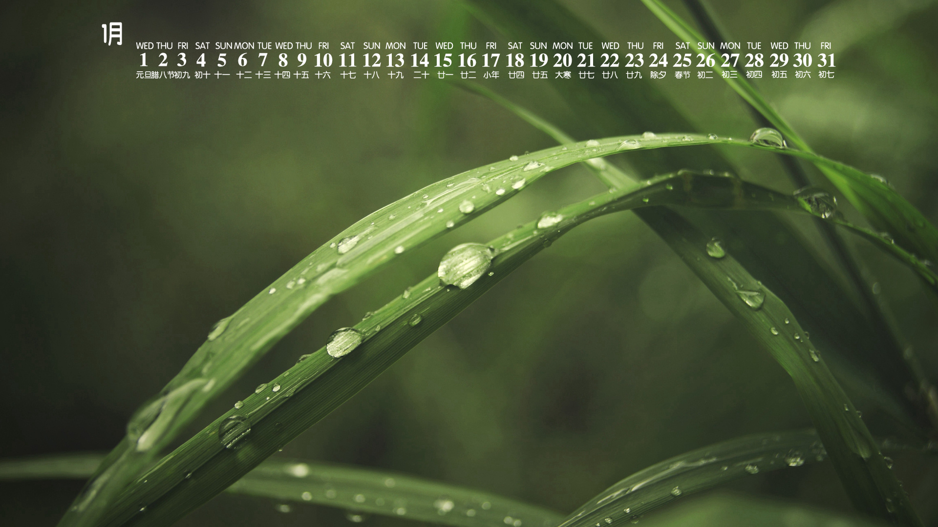 月历,日历,2020年1月