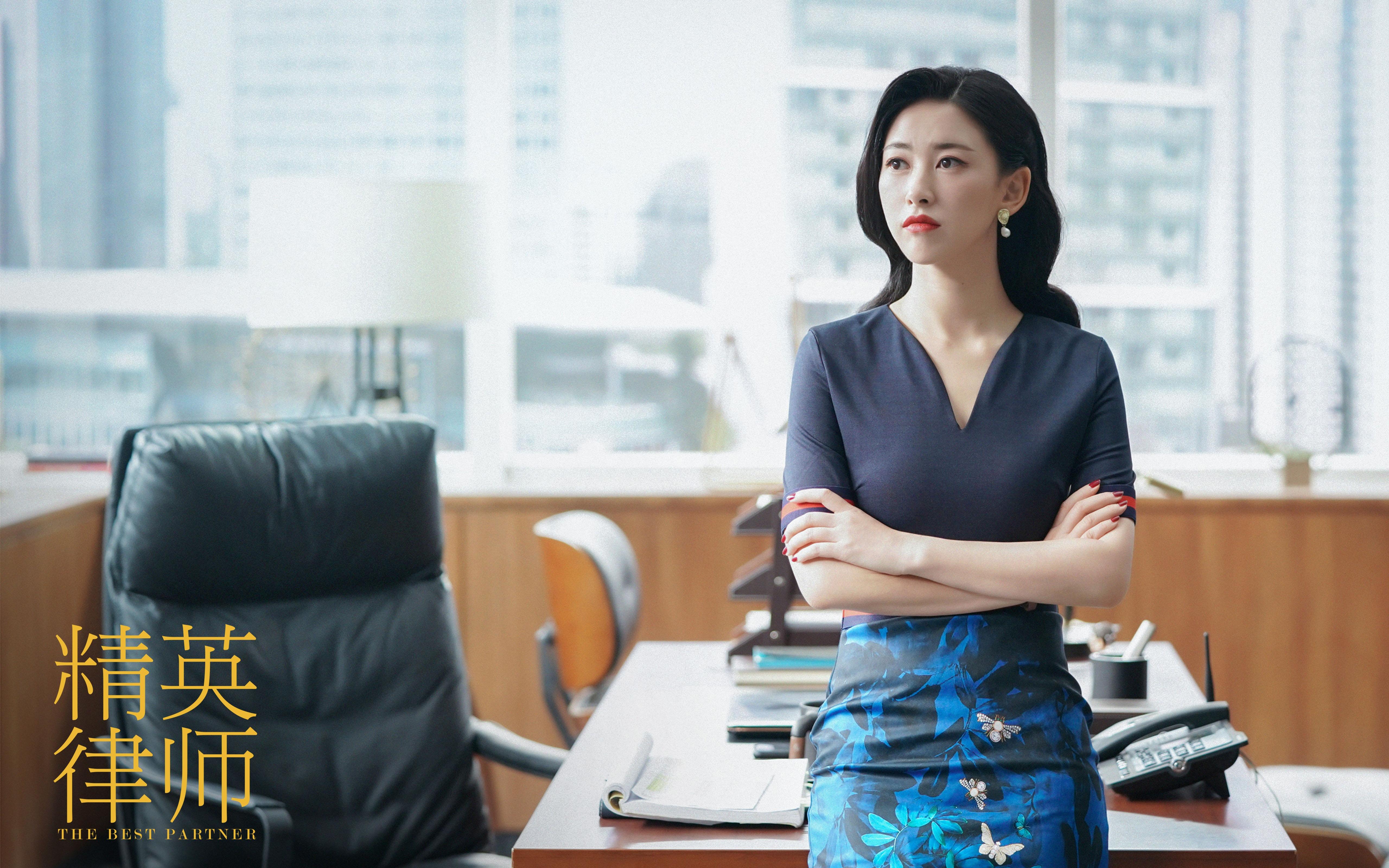 精英律师,靳东,蓝盈莹