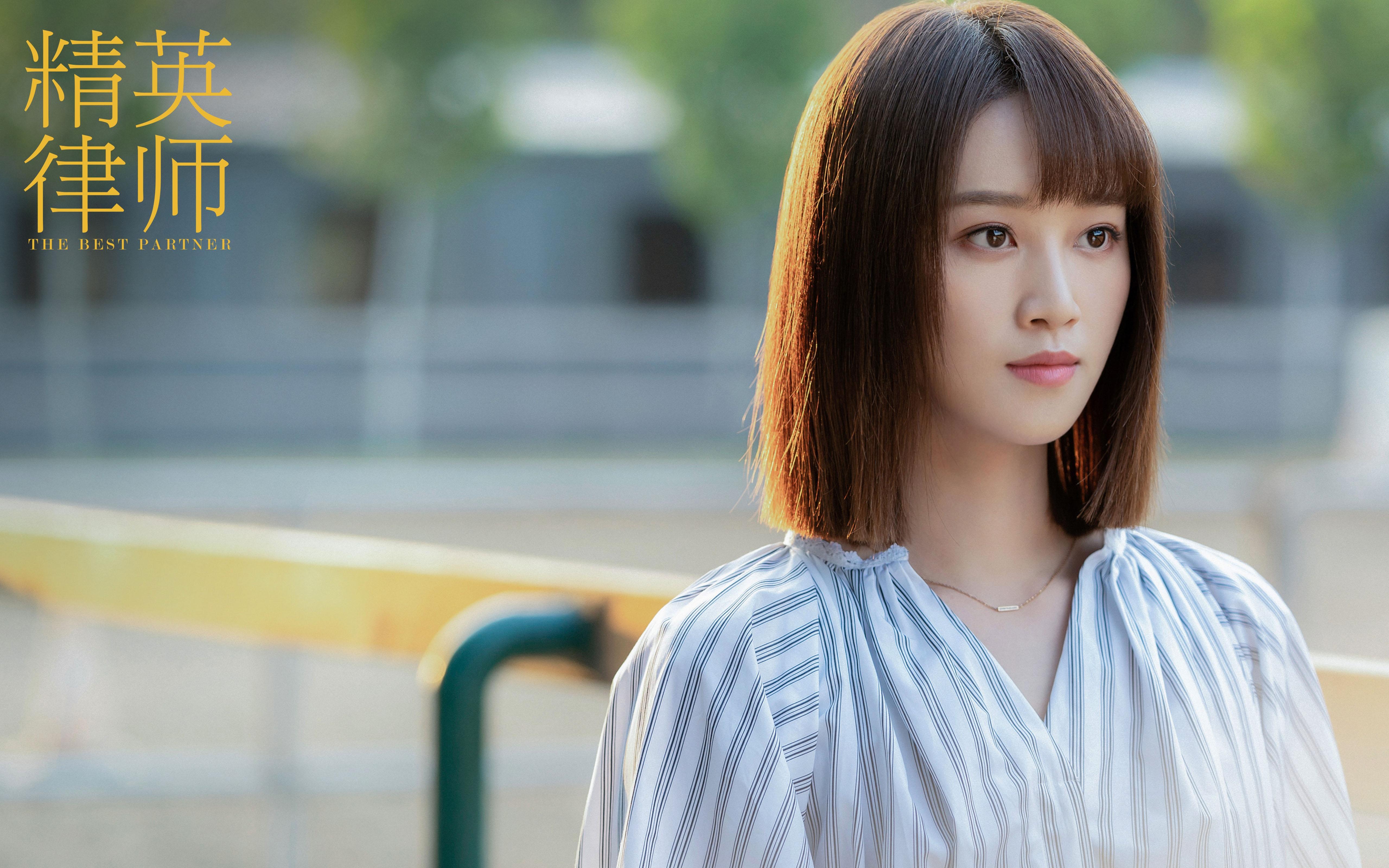 精英律师,靳东,蓝盈莹