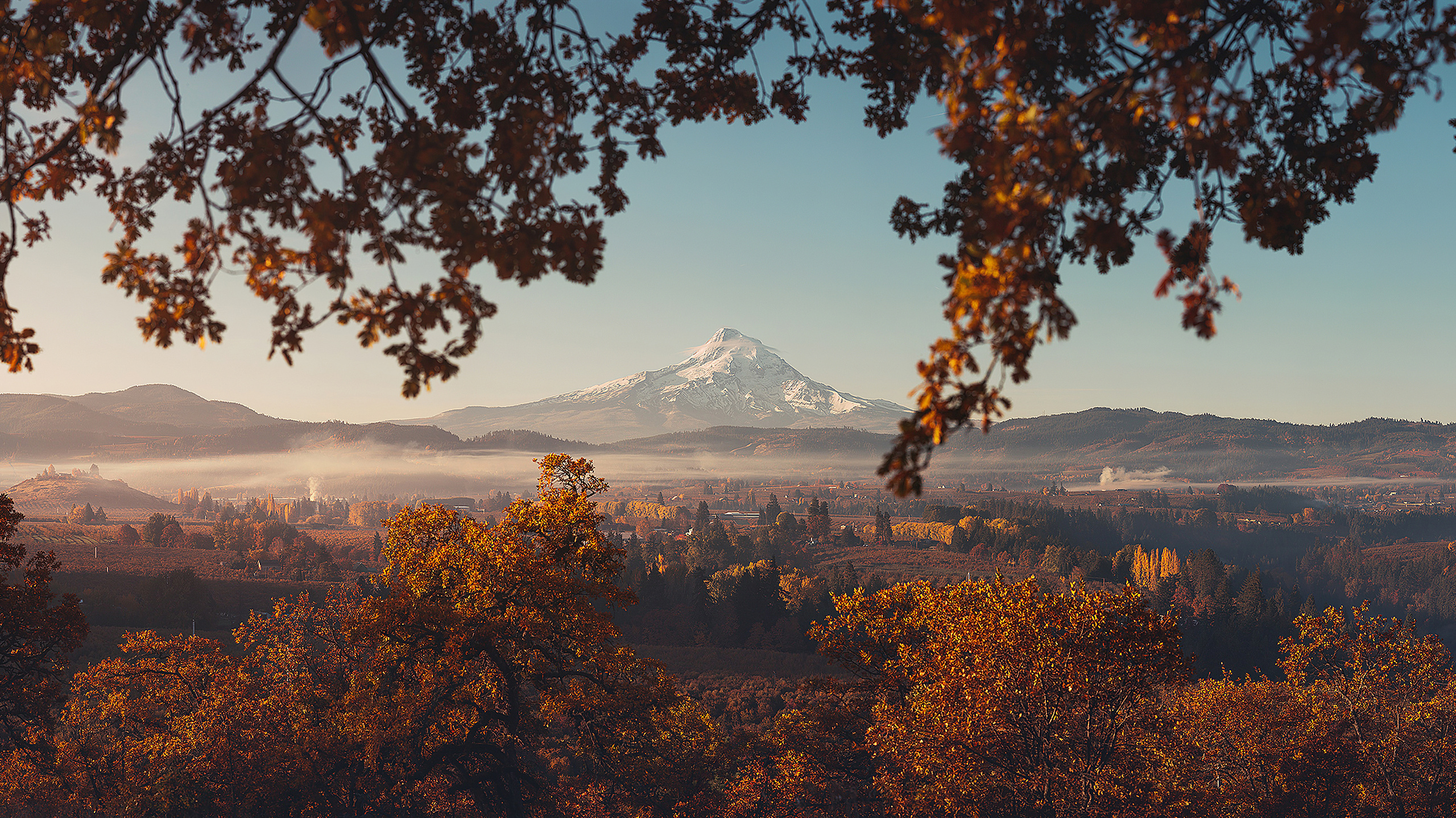 自然风光,雪山,眺望