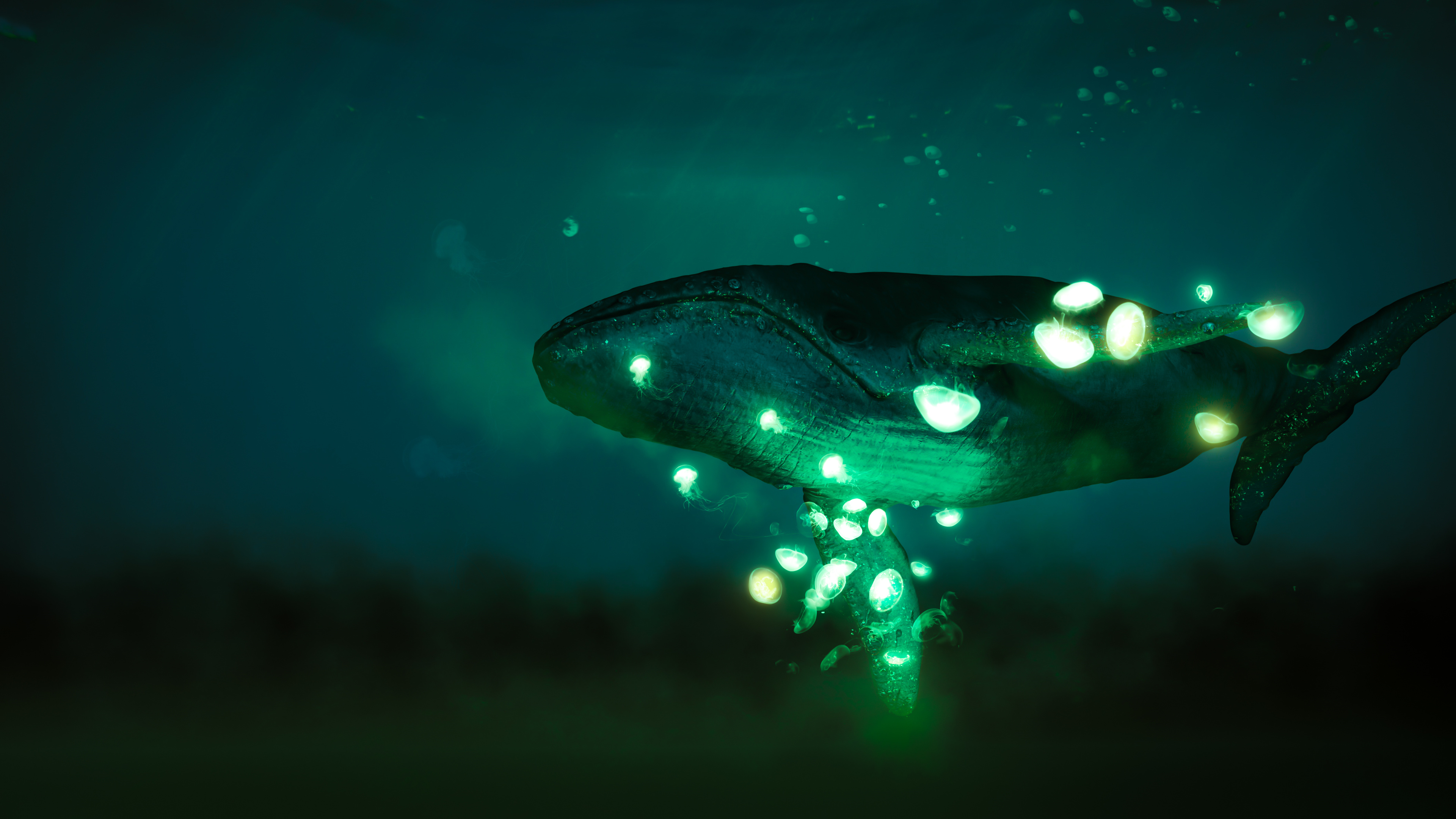 鲸鱼,萤火虫,童话