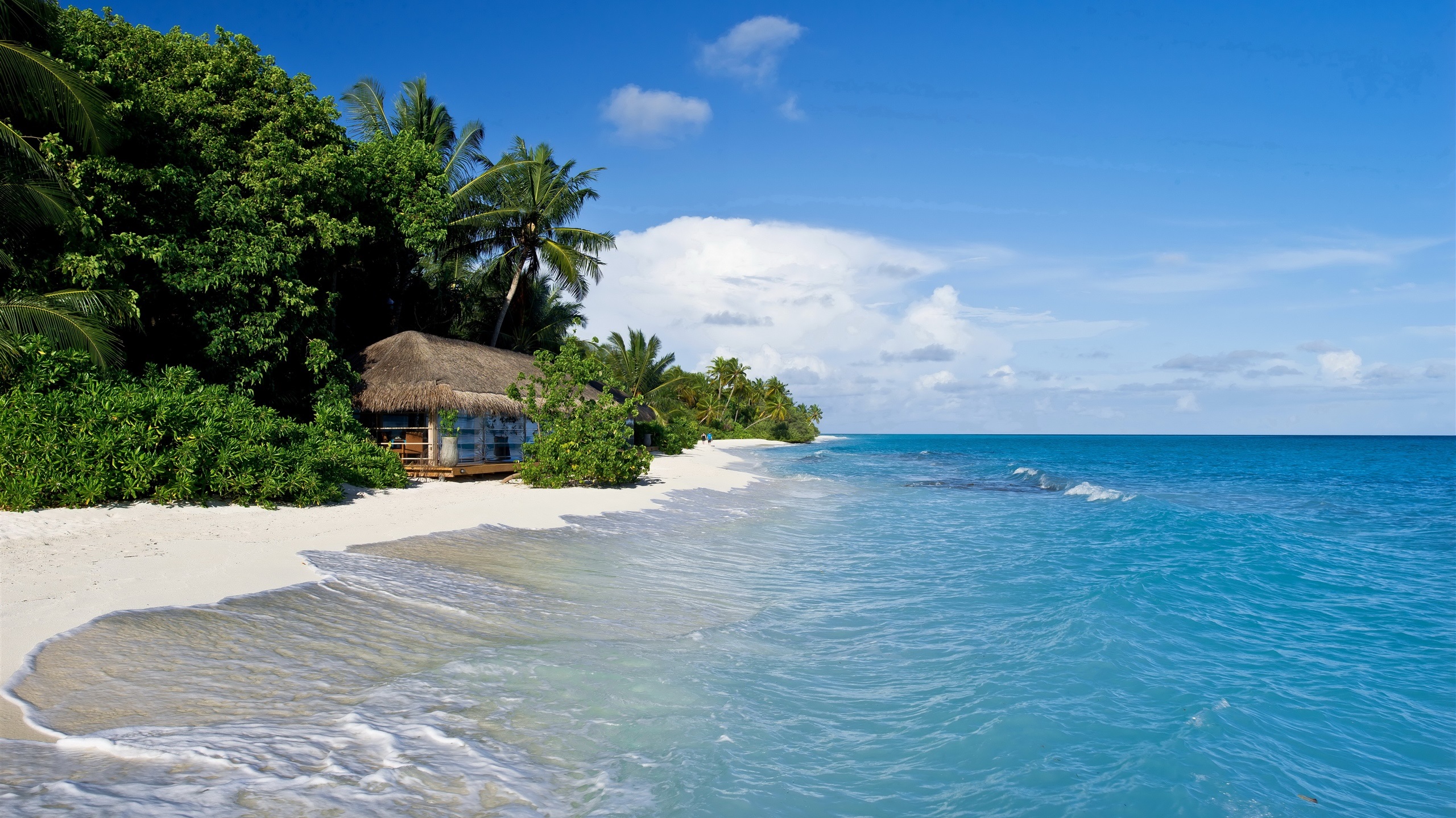 海洋天堂,蓝天,海浪,木屋,椰树