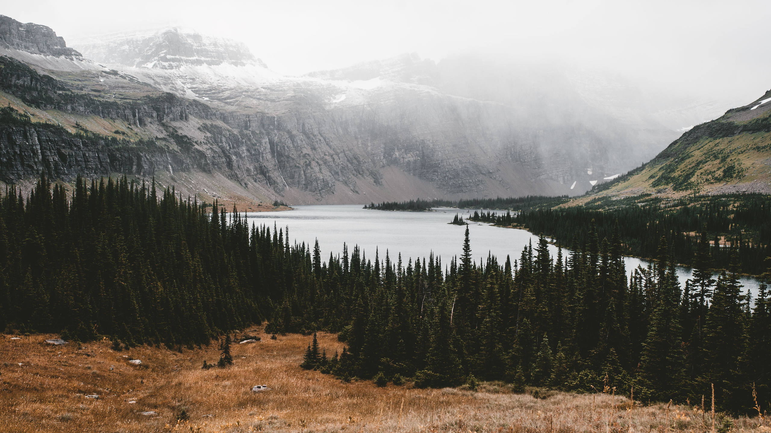 自然风光,树林,山谷,雪山