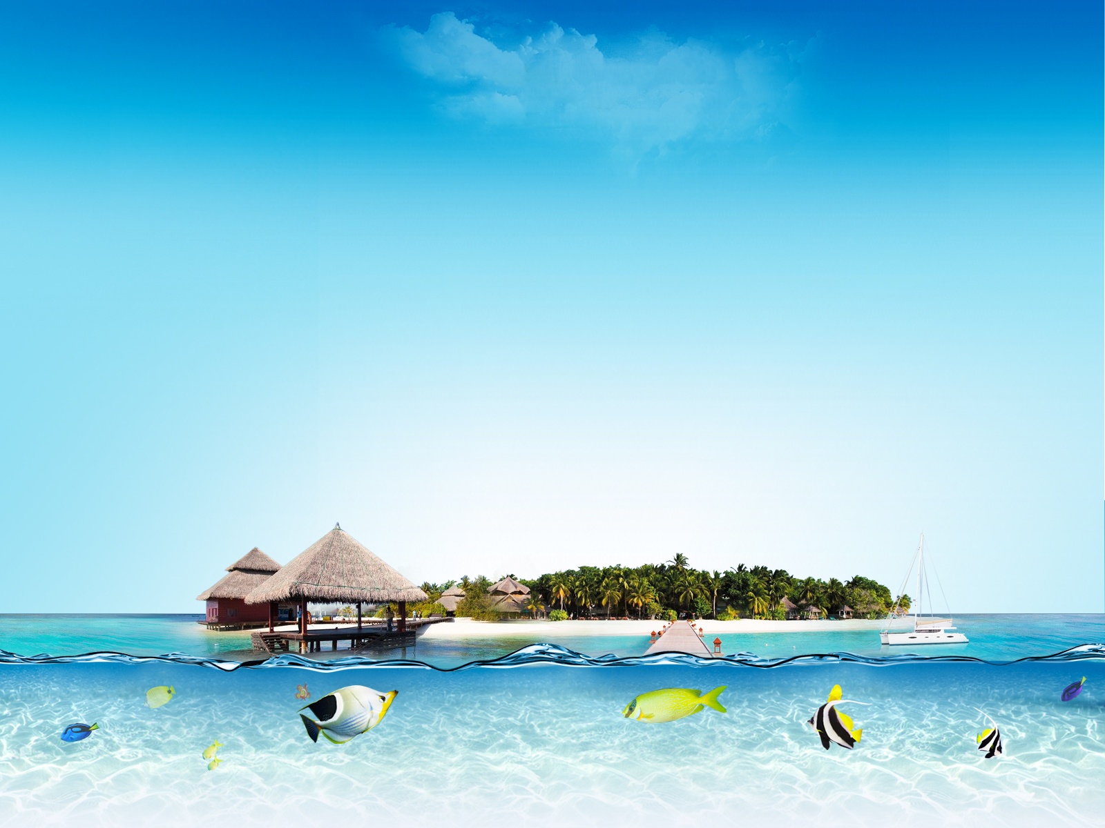 风景,360,安仔,儿童桌面专用