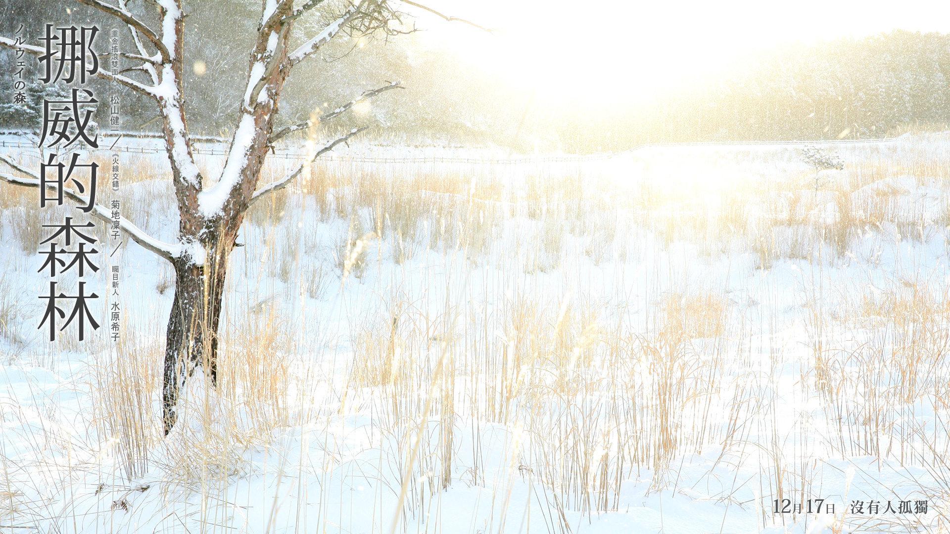 影视,明星,爱情,初恋,小说改编,白色,挪威的森林,浪漫爱情,唯美温馨