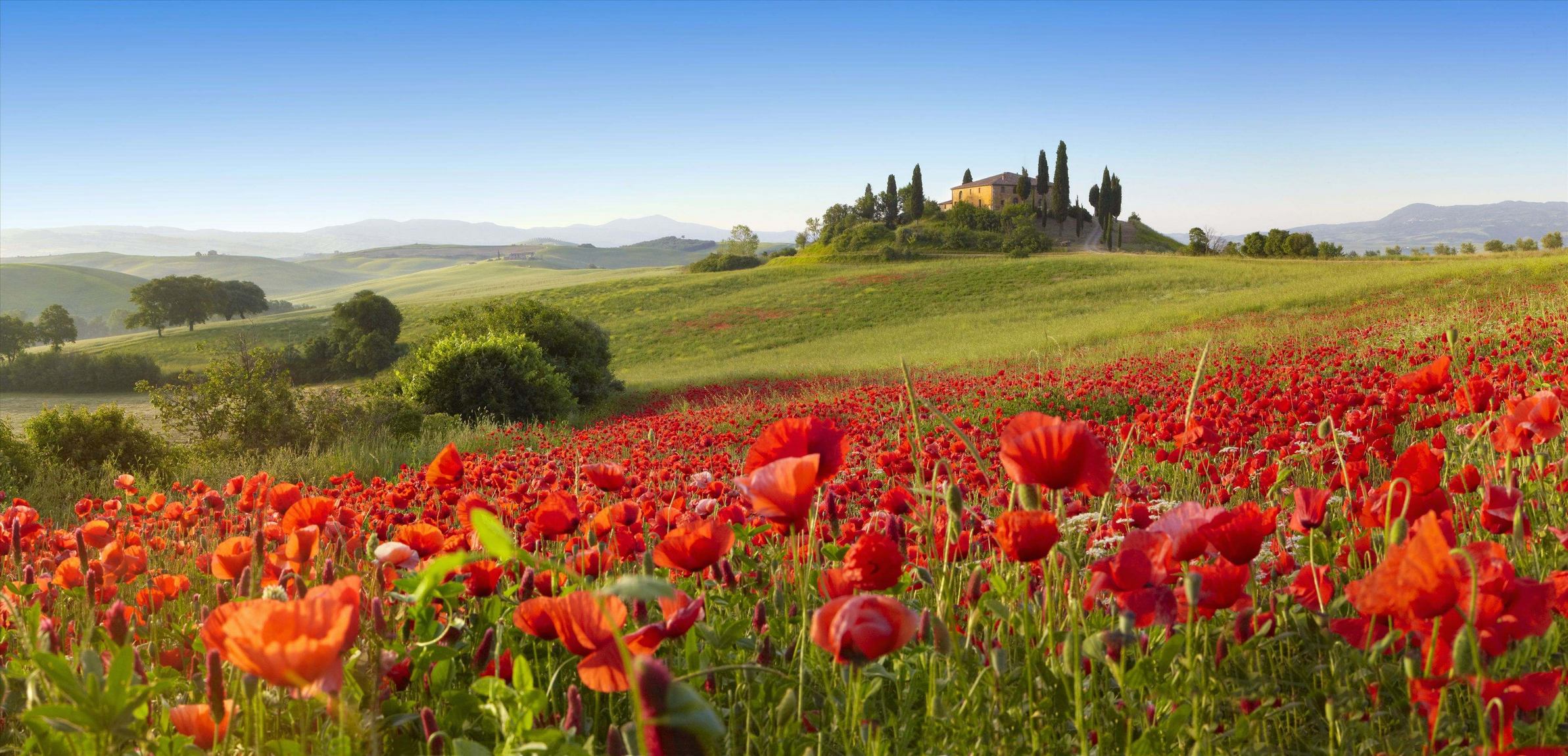 风景,春意盎然	,儿童桌面专用