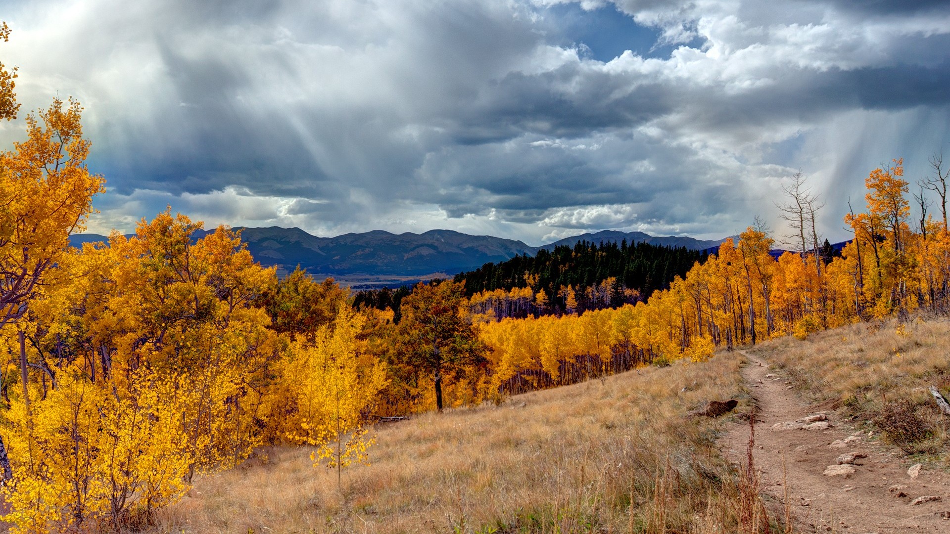 风景,蓝天白云,秋意正浓,儿童桌面专用