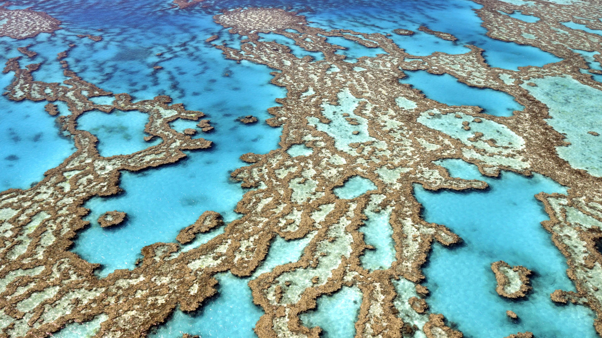 风景,海洋天堂,儿童桌面专用