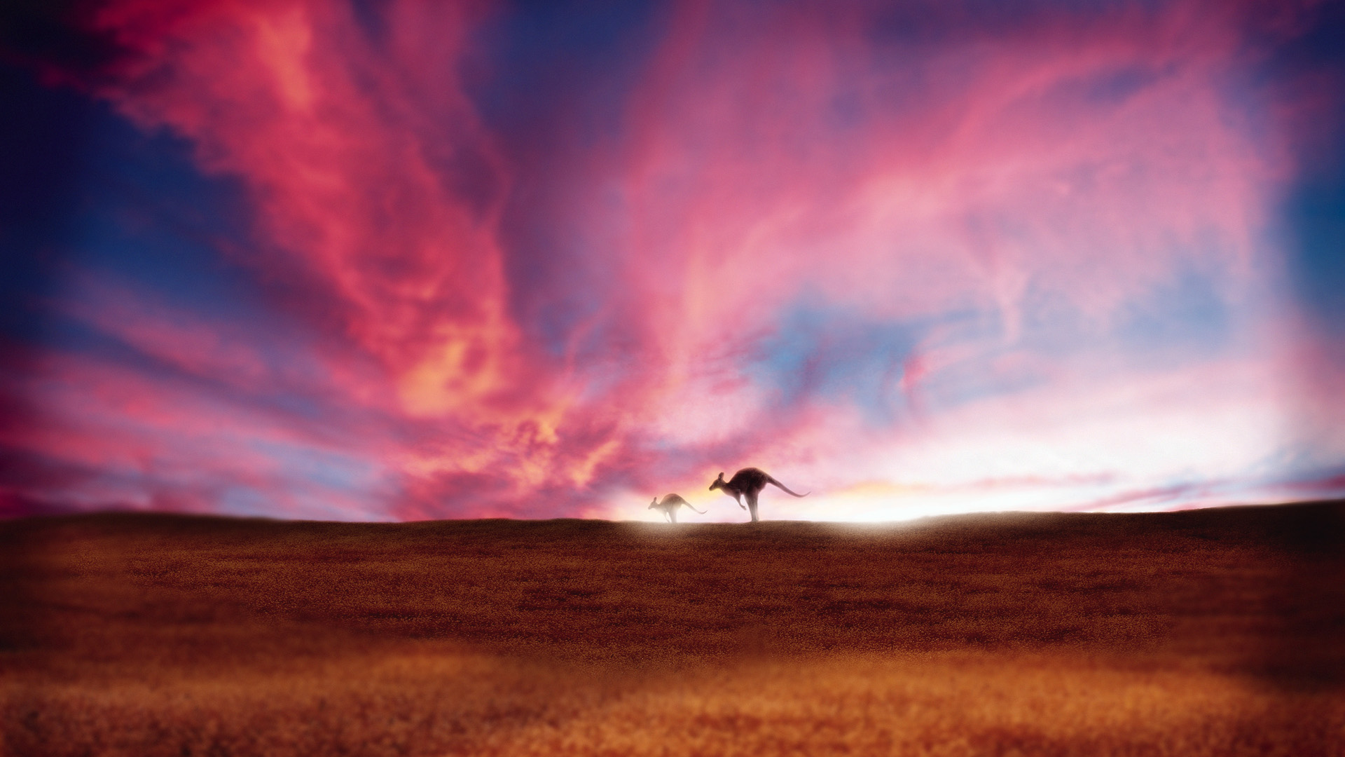 风景,落日余晖,儿童桌面专用