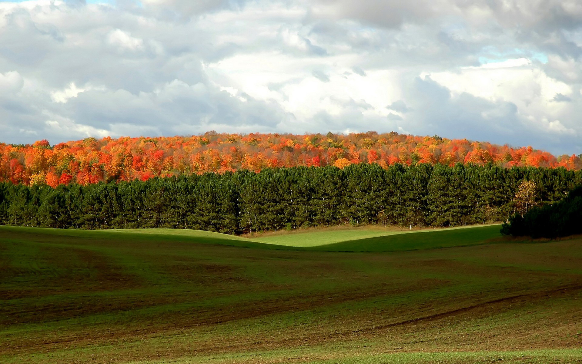 风景,春意盎然	,儿童桌面专用