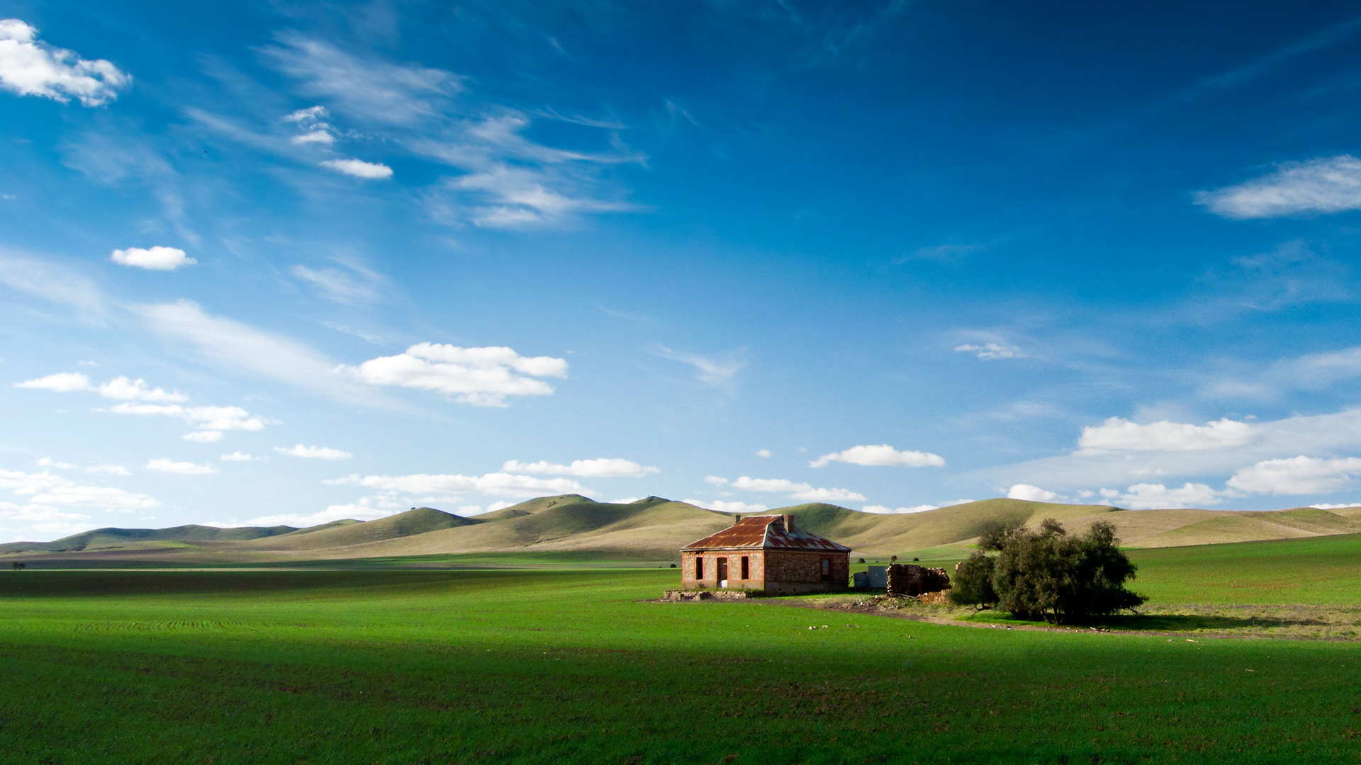 风景,碧绿草原,儿童桌面专用