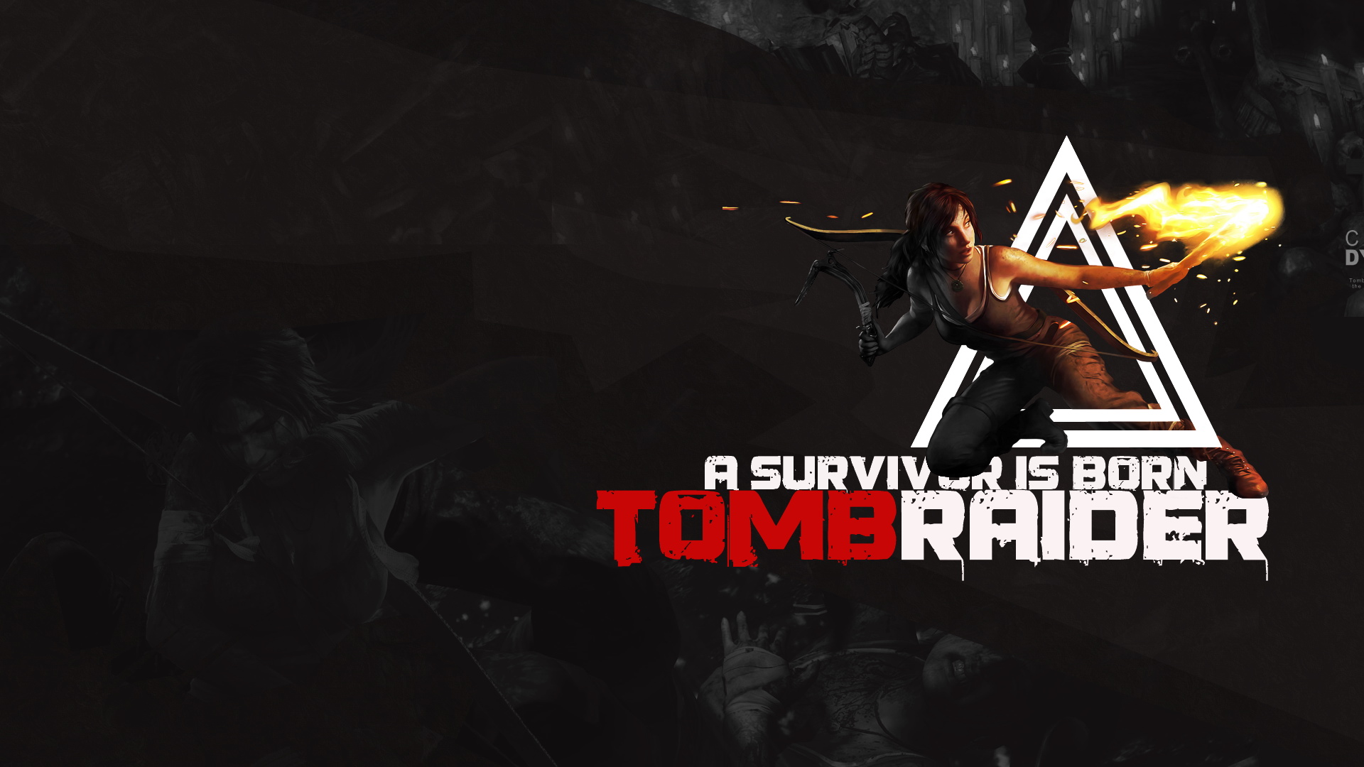 游戏,单机,动作,冒险,古墓丽影,劳拉,火爆冒险