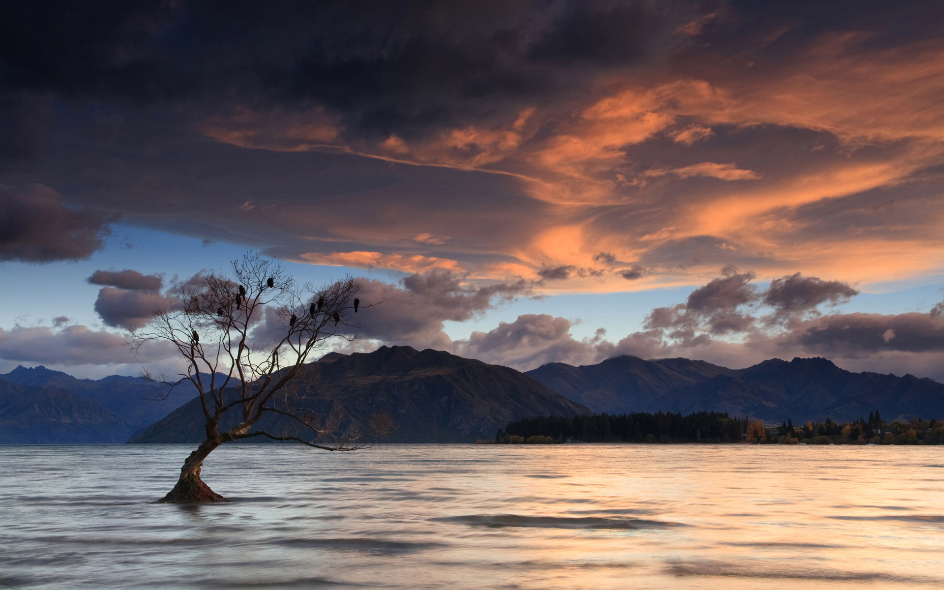 风景,自然风景,儿童桌面专用