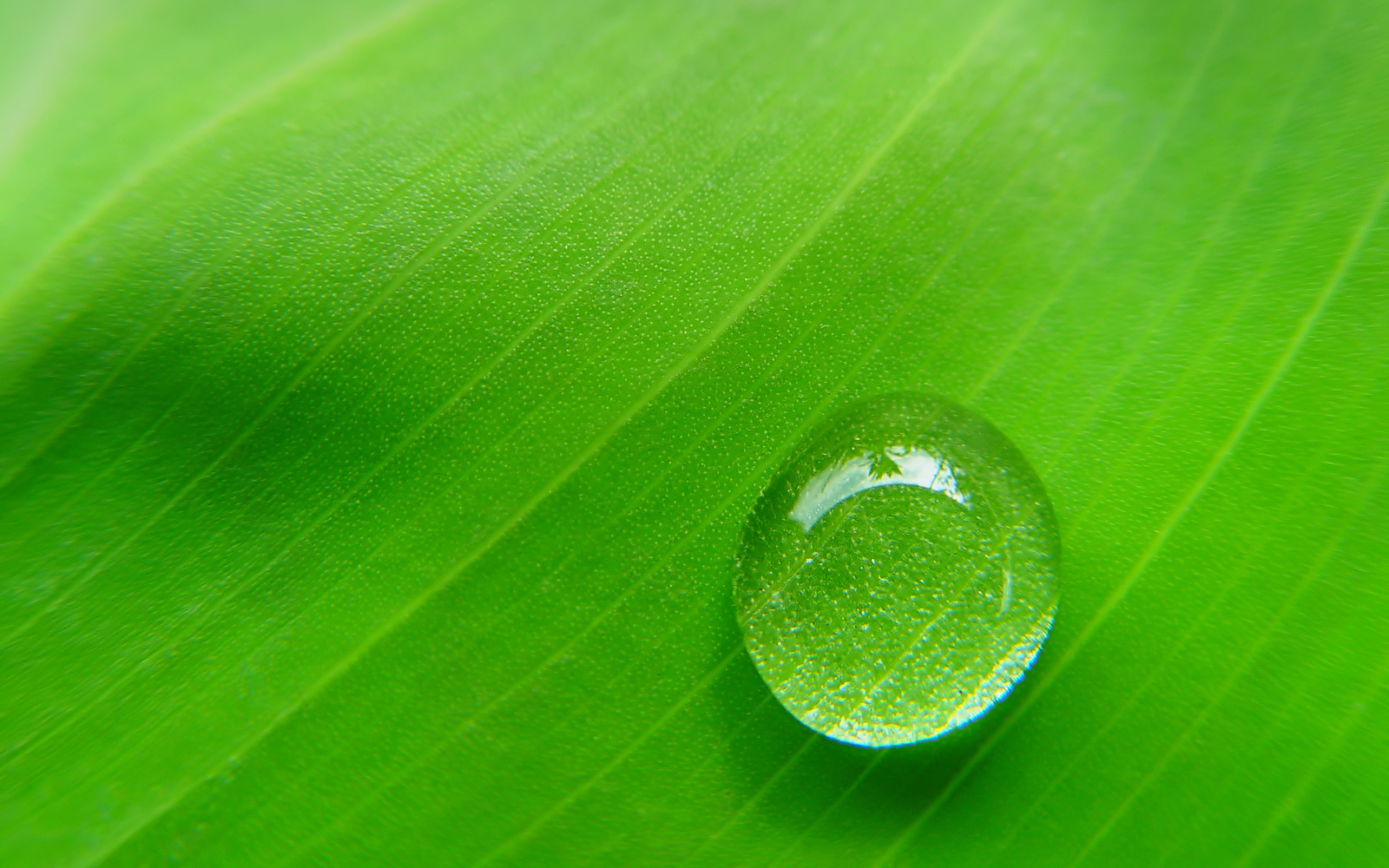 小清新,清爽,温馨,护眼壁纸,儿童桌面专用