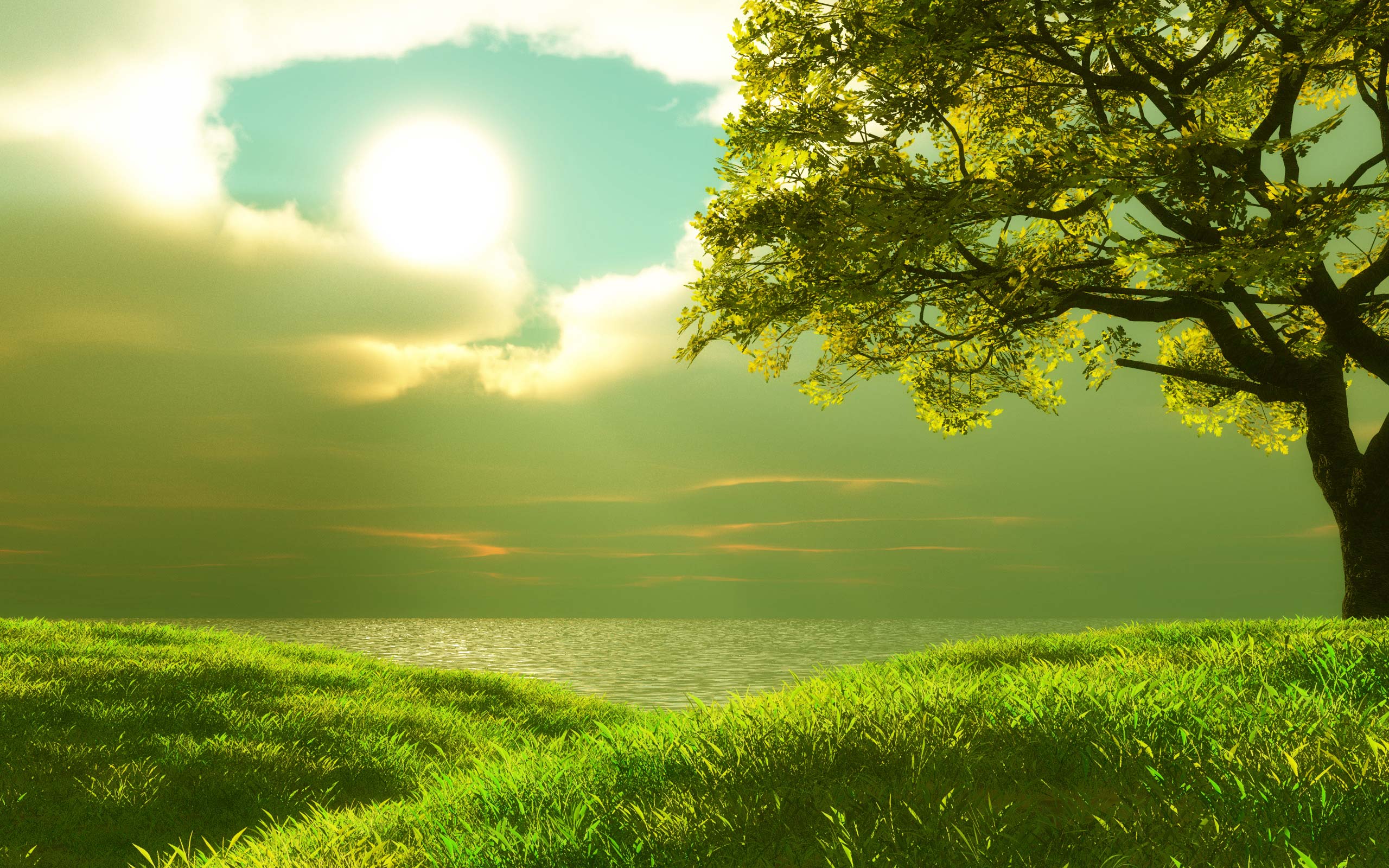 风景,碧绿草原,儿童桌面专用