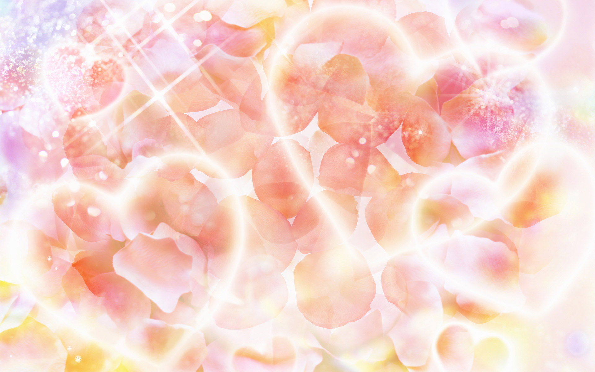 情人节,爱情,玫瑰,唯美温馨,儿童桌面专用