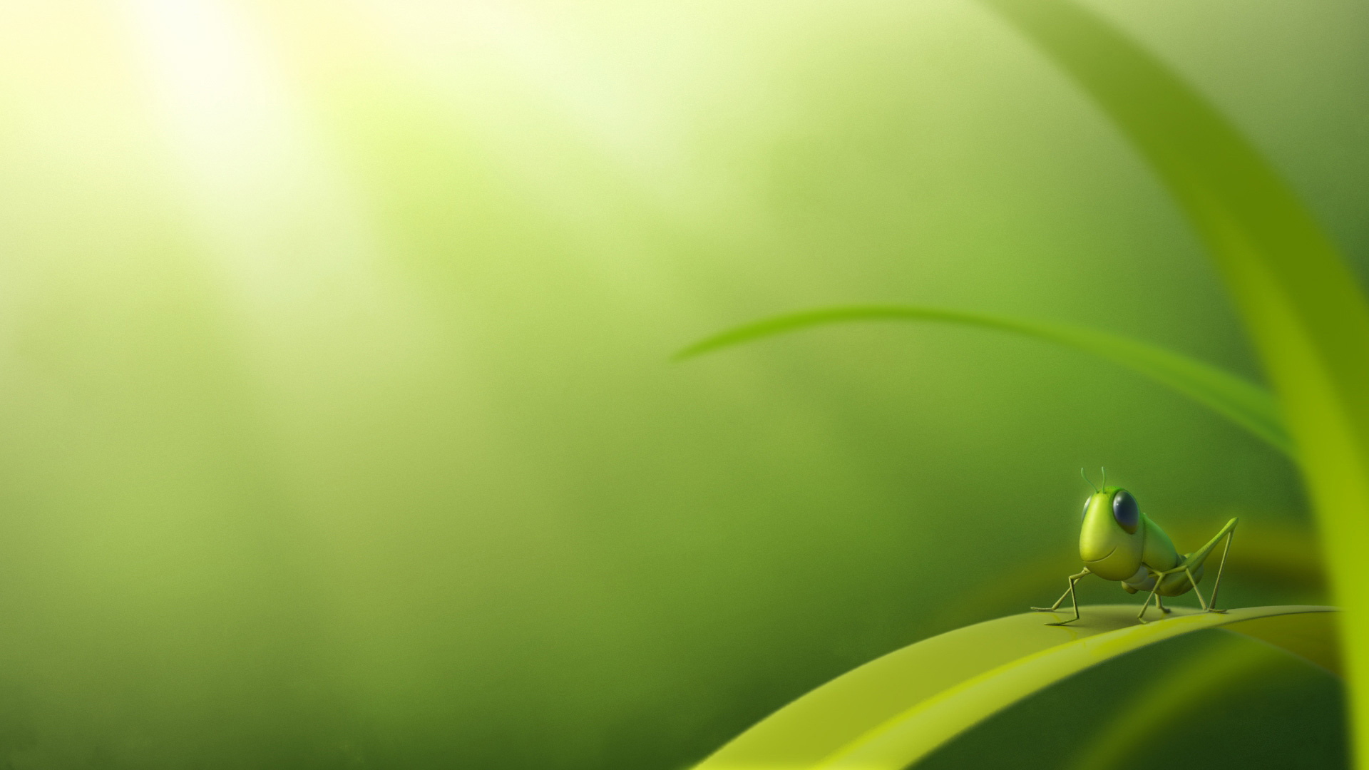 小清新,护眼壁纸,绿色,蚱蜢,儿童桌面专用