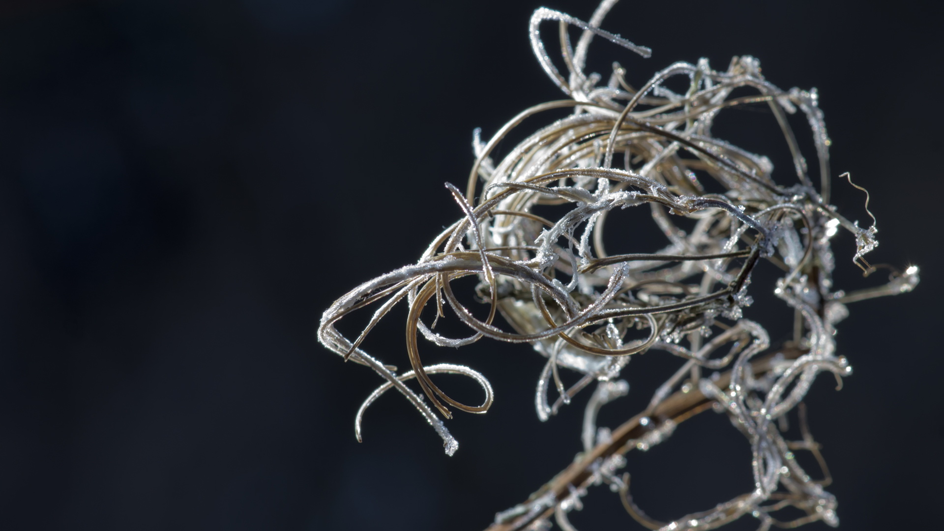 设计,创意,梦幻,儿童桌面专用