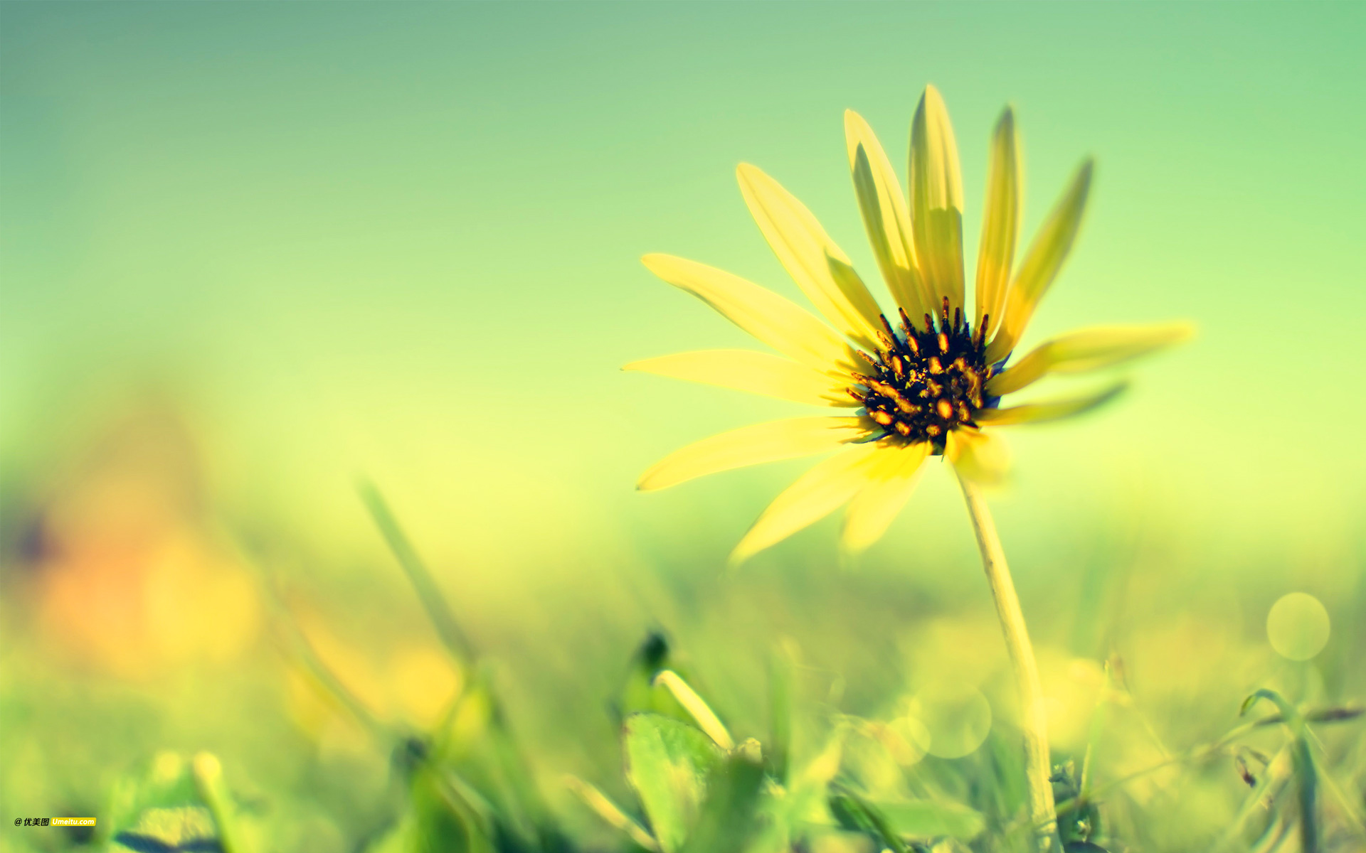 小清新,清爽,温馨,护眼壁纸,儿童桌面专用