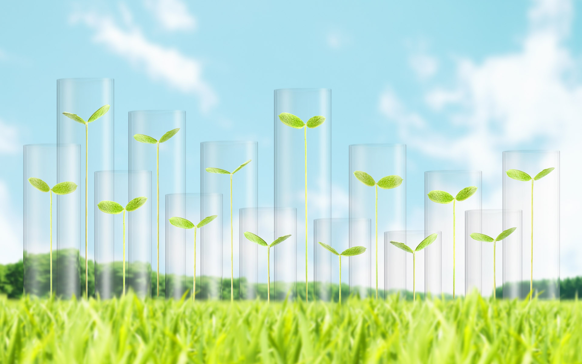 小清新,清爽,温馨,护眼壁纸,儿童桌面专用